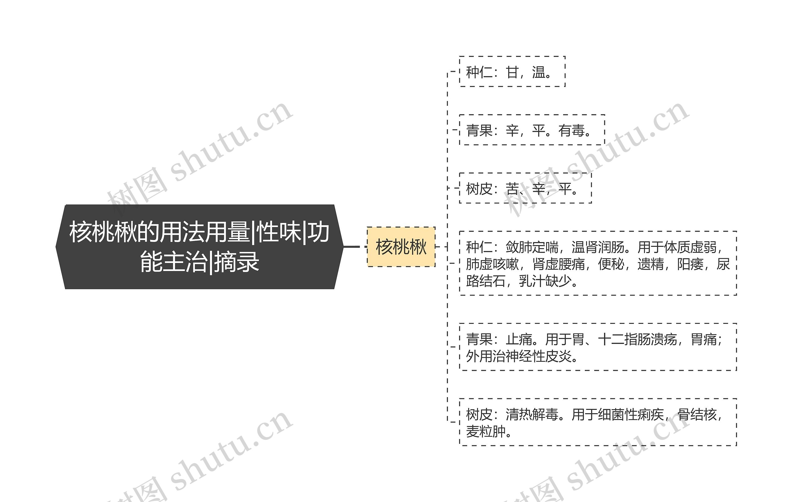 核桃楸的用法用量|性味|功能主治|摘录思维导图