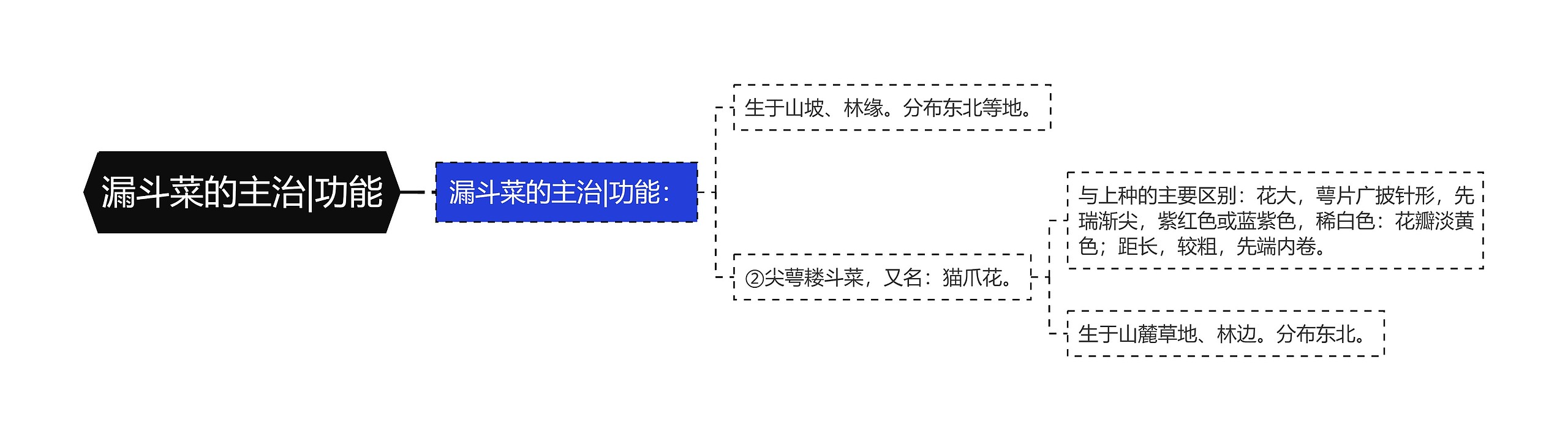 漏斗菜的主治|功能思维导图