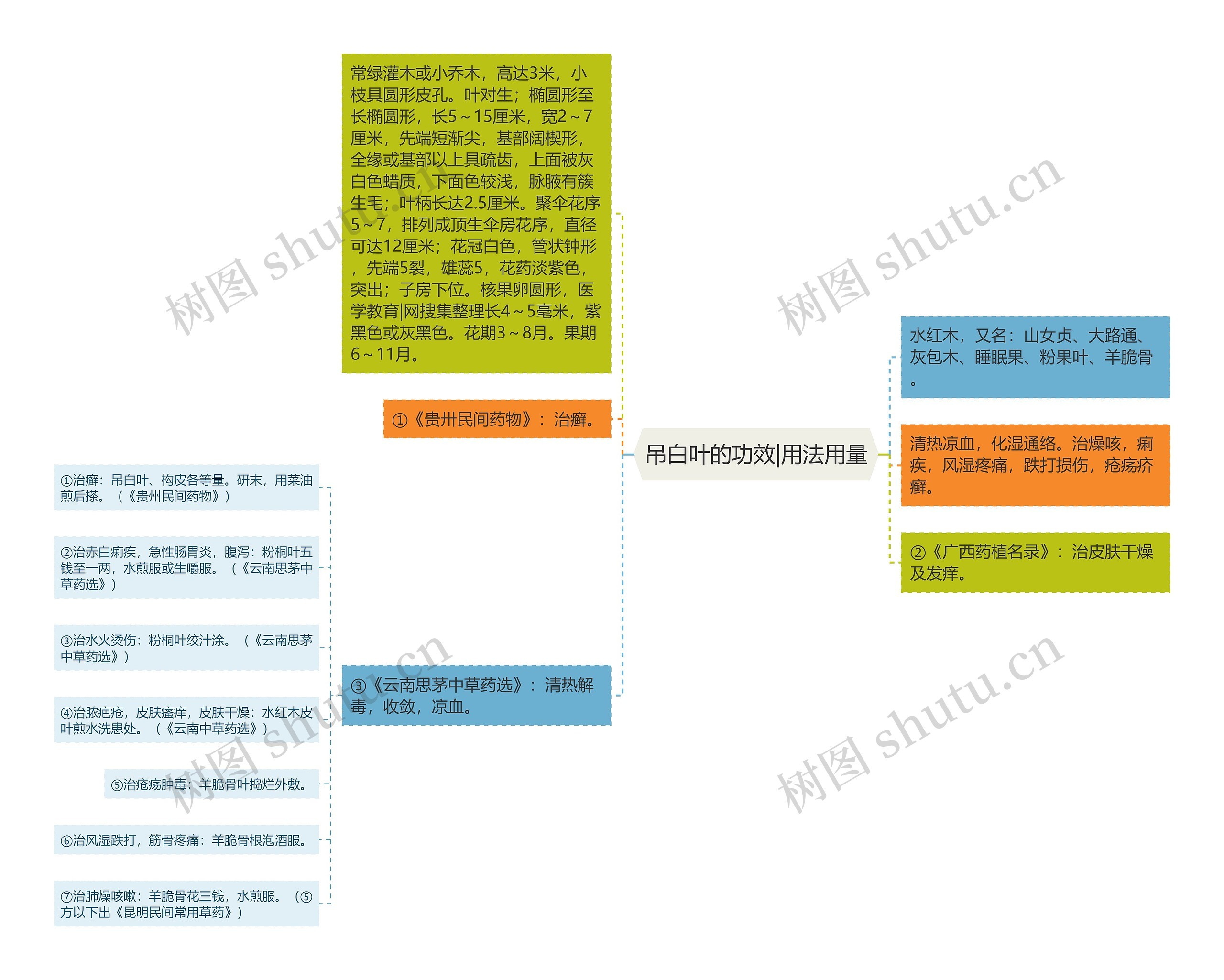 吊白叶的功效|用法用量思维导图