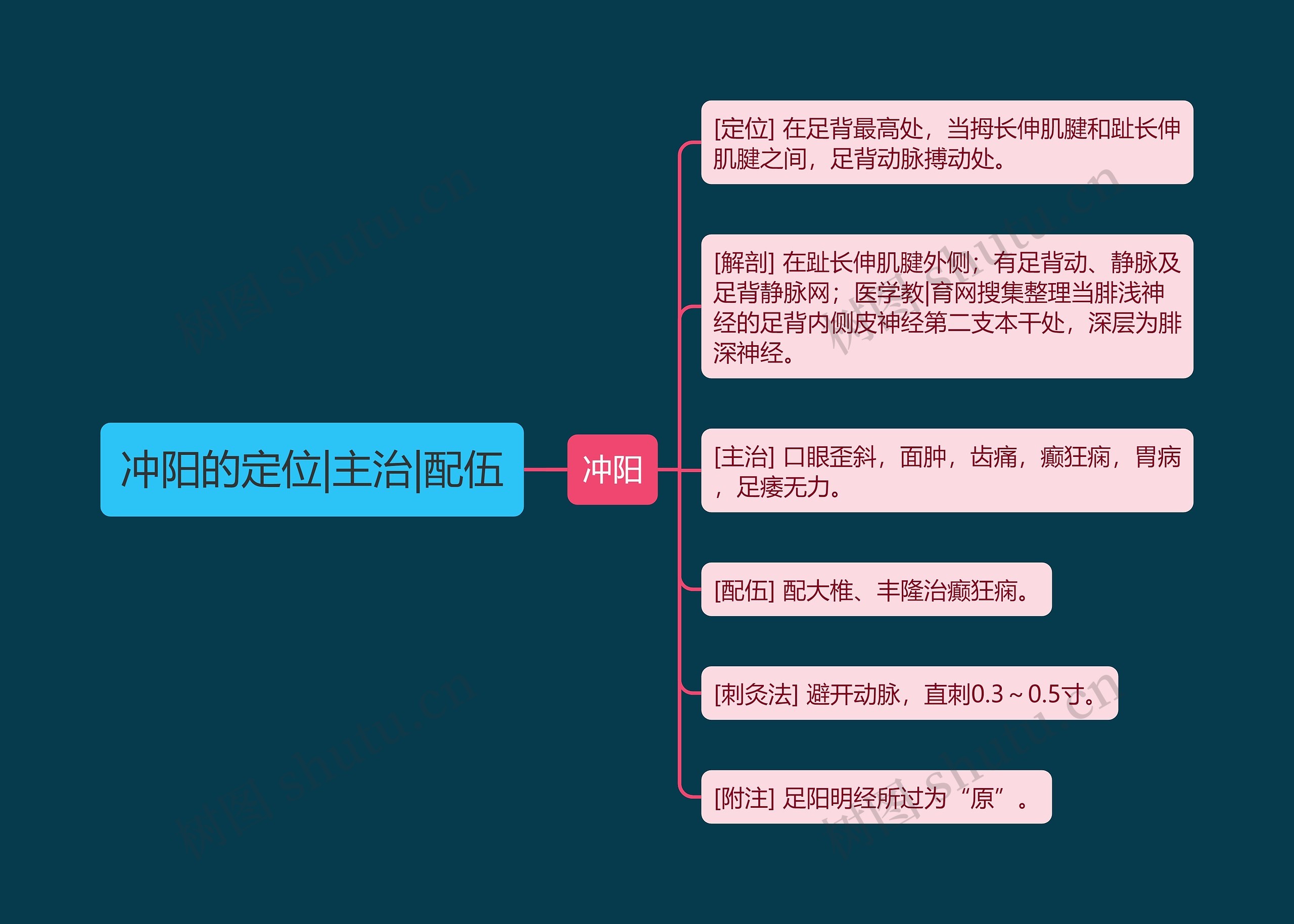 冲阳的定位|主治|配伍 冲阳的定位|主治|配伍