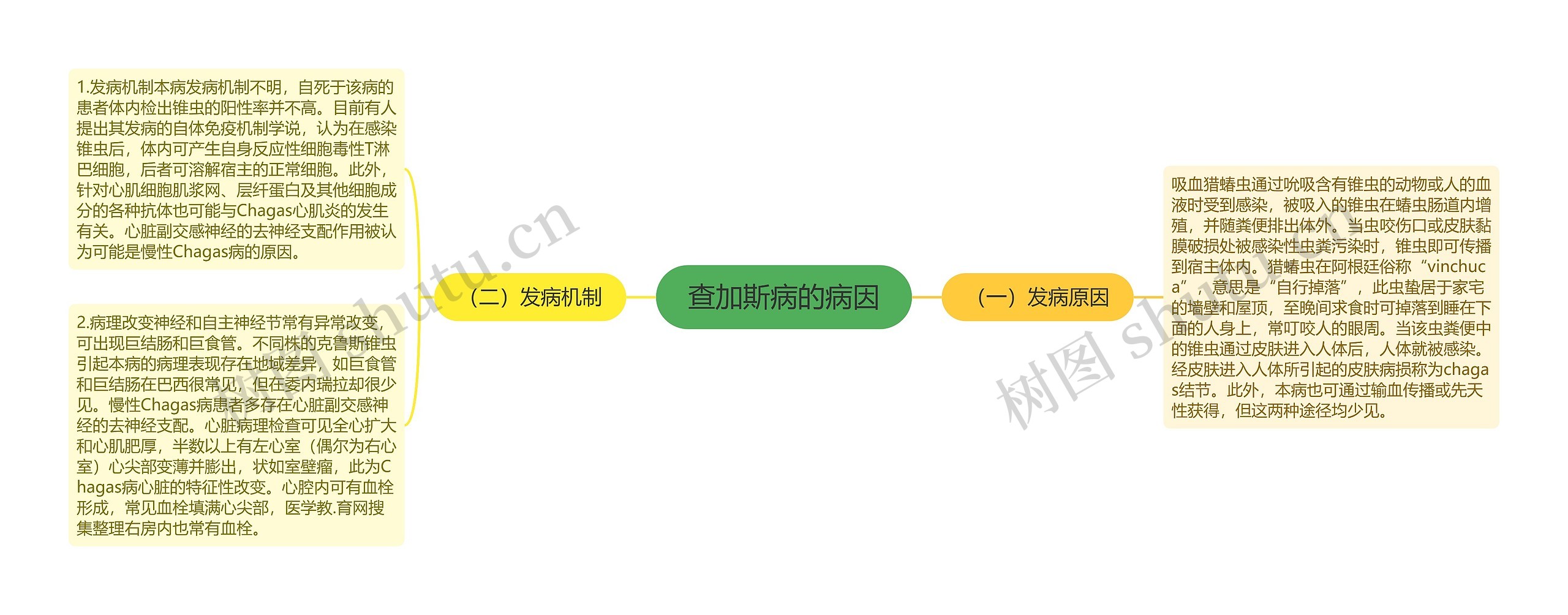 查加斯病的病因思维导图