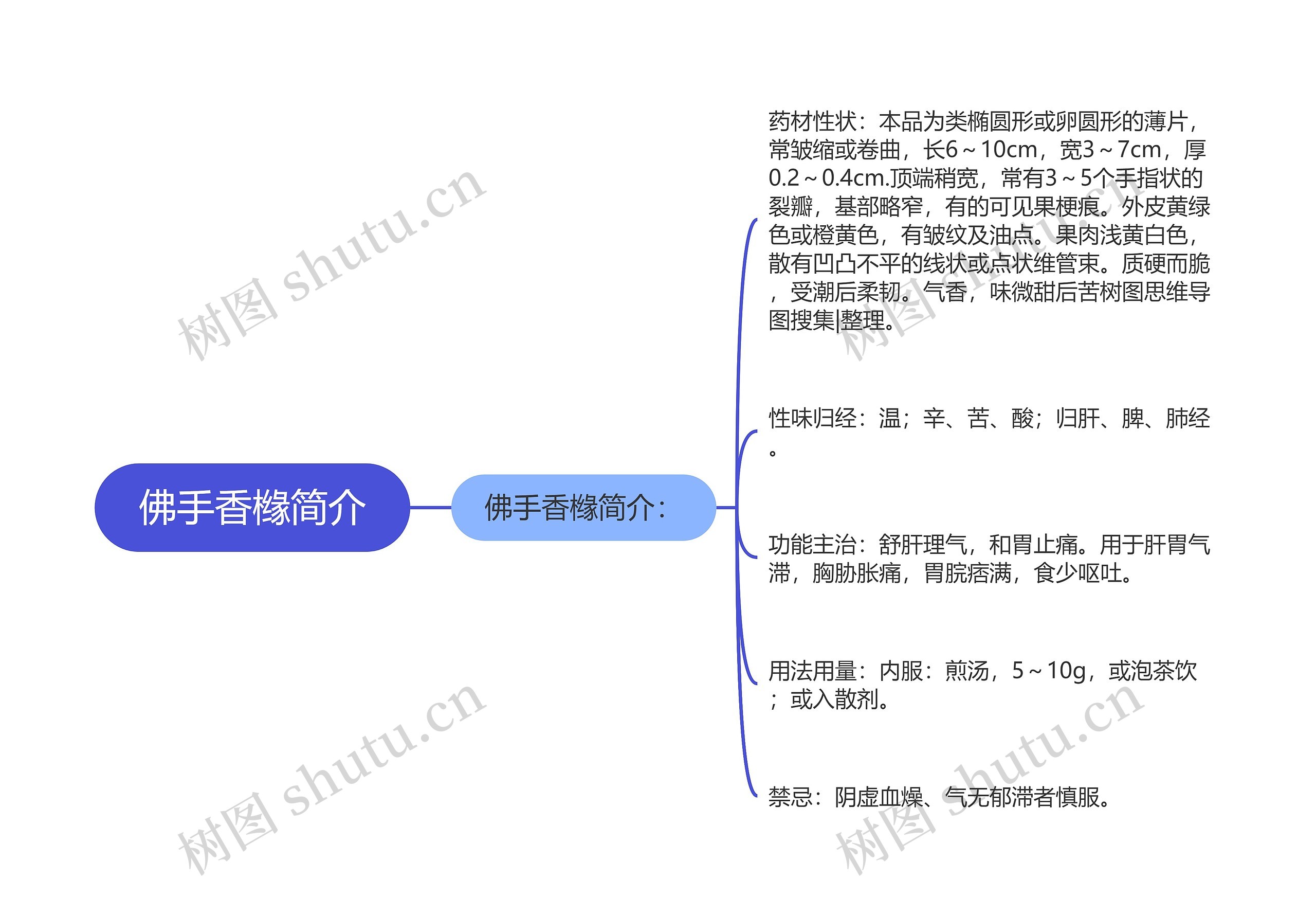 佛手香橼简介思维导图