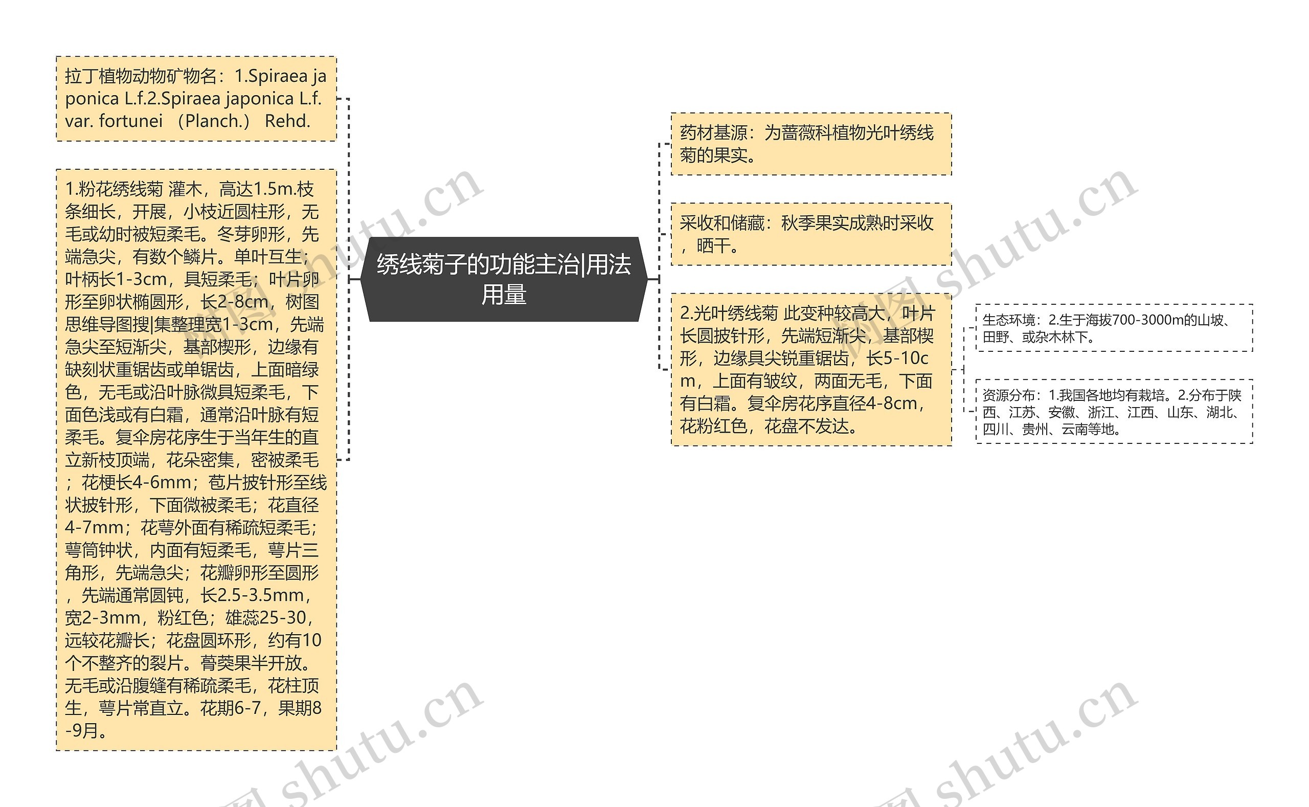 绣线菊子的功能主治|用法用量思维导图