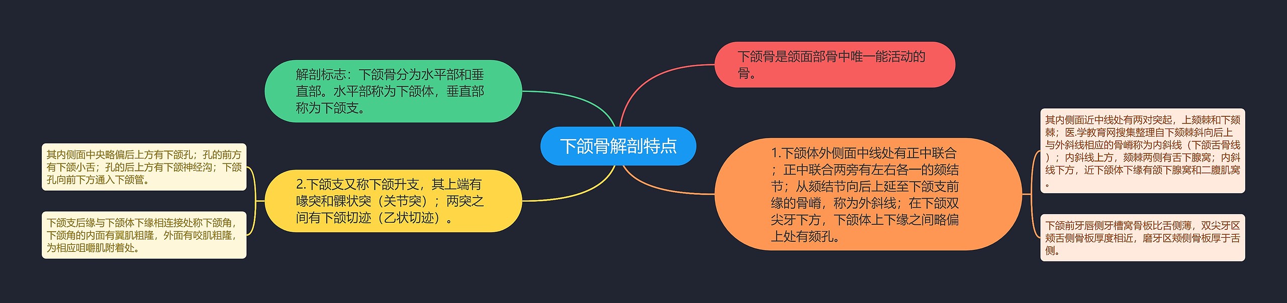 下颌骨解剖特点