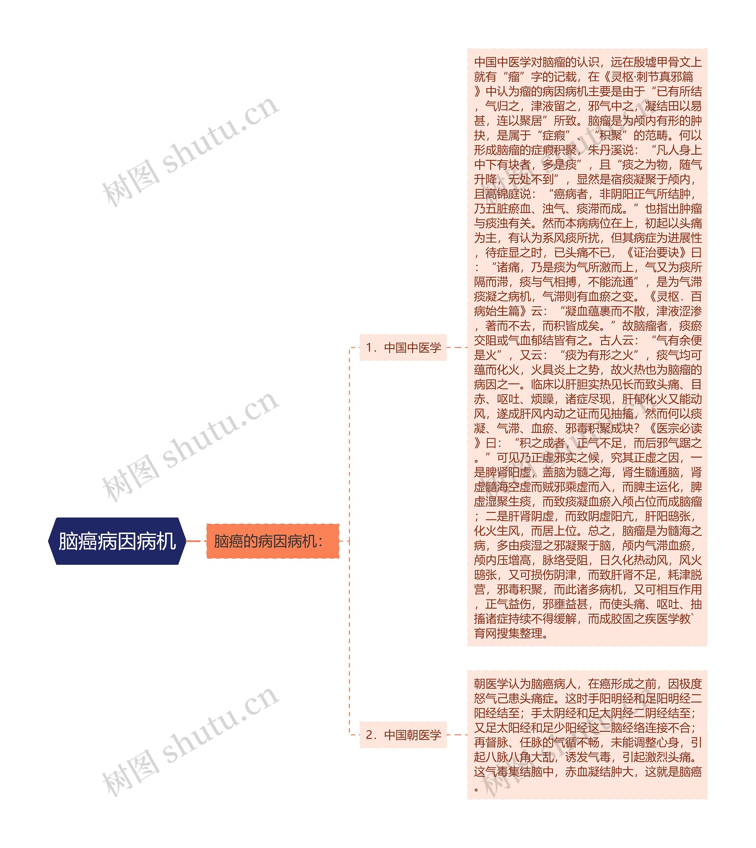 脑癌病因病机思维导图