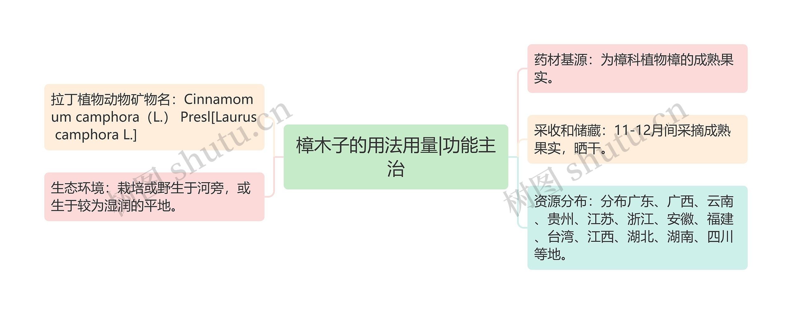 樟木子的用法用量|功能主治