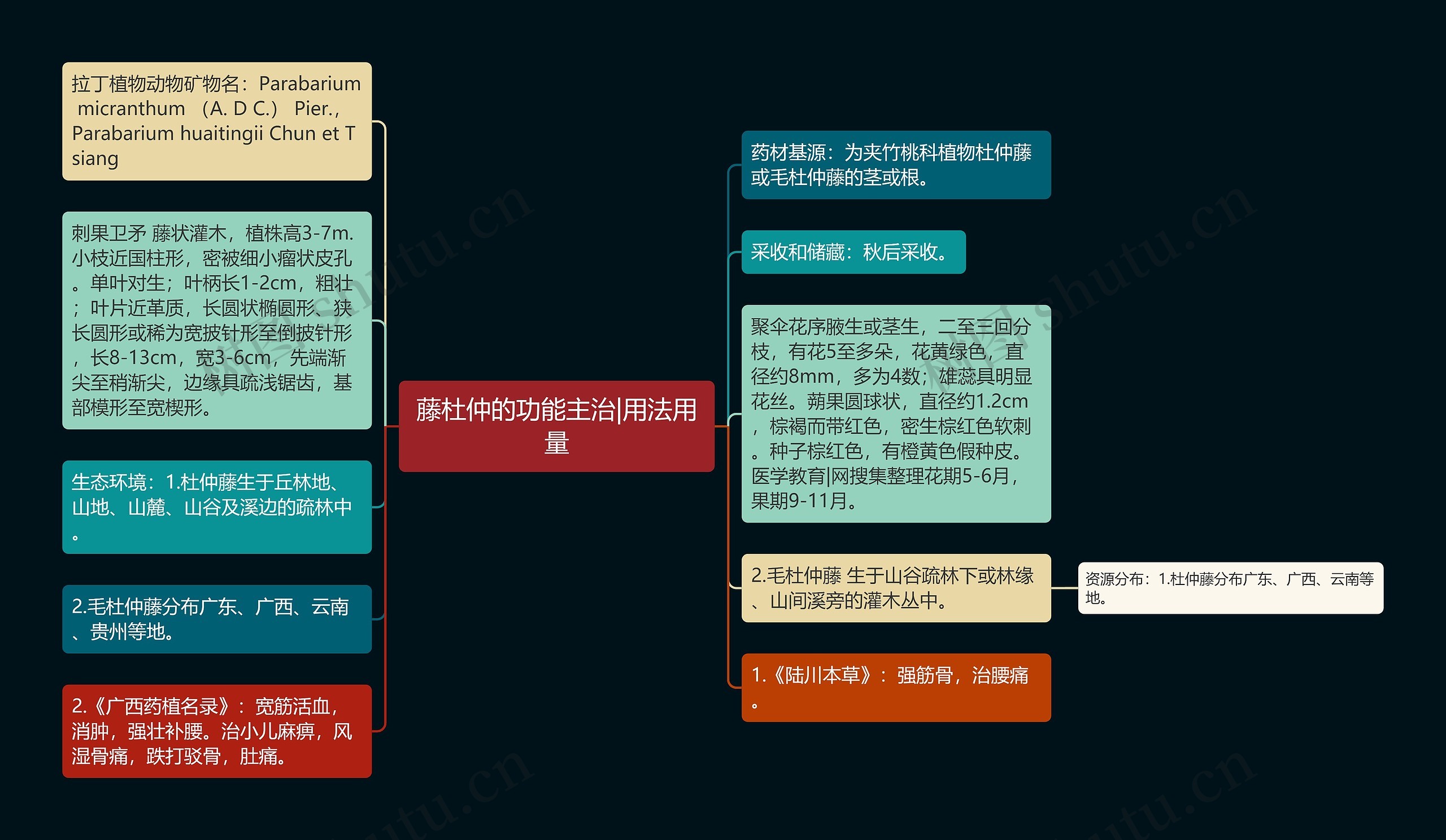 藤杜仲的功能主治|用法用量