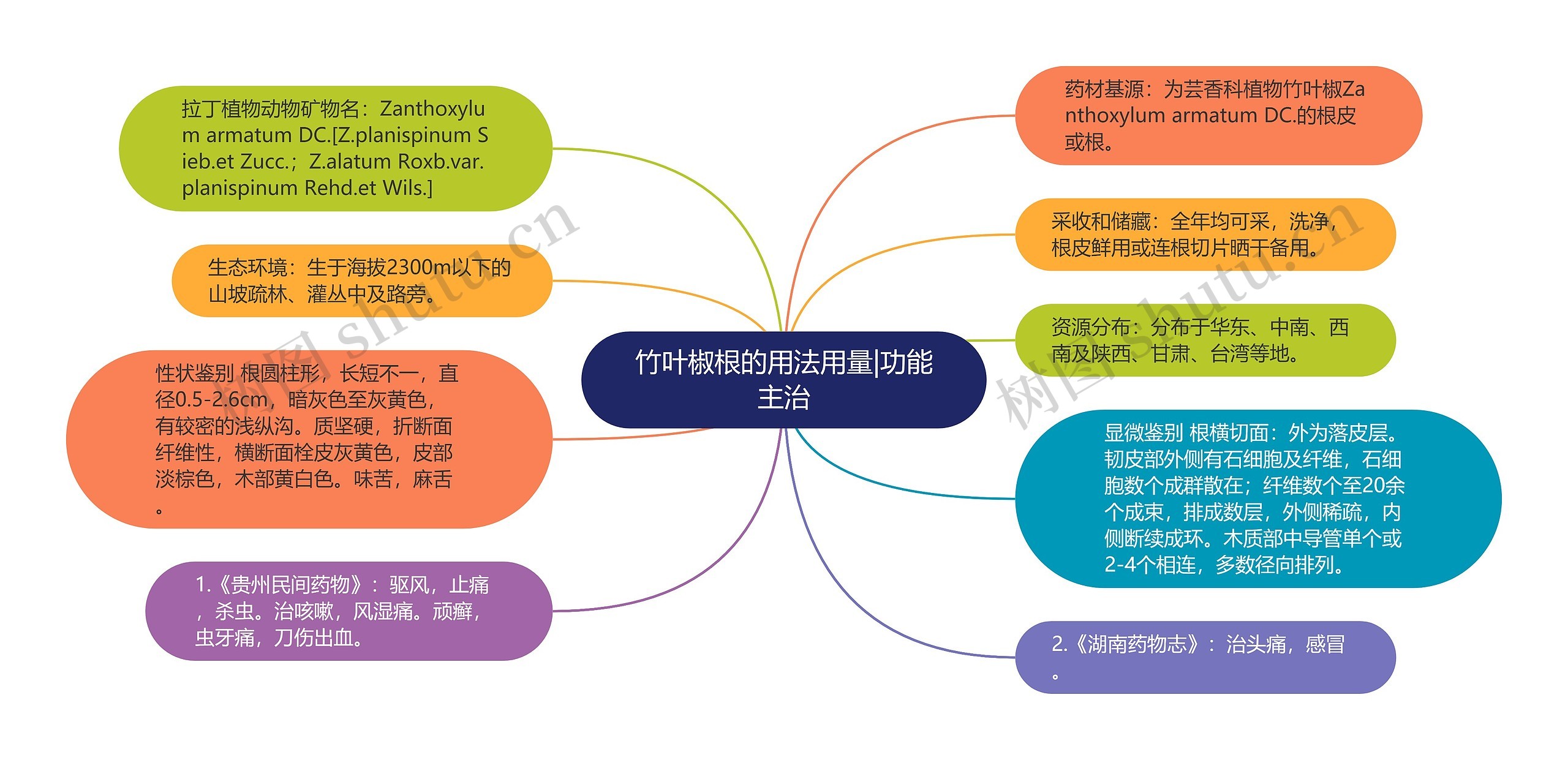 竹叶椒根的用法用量|功能主治