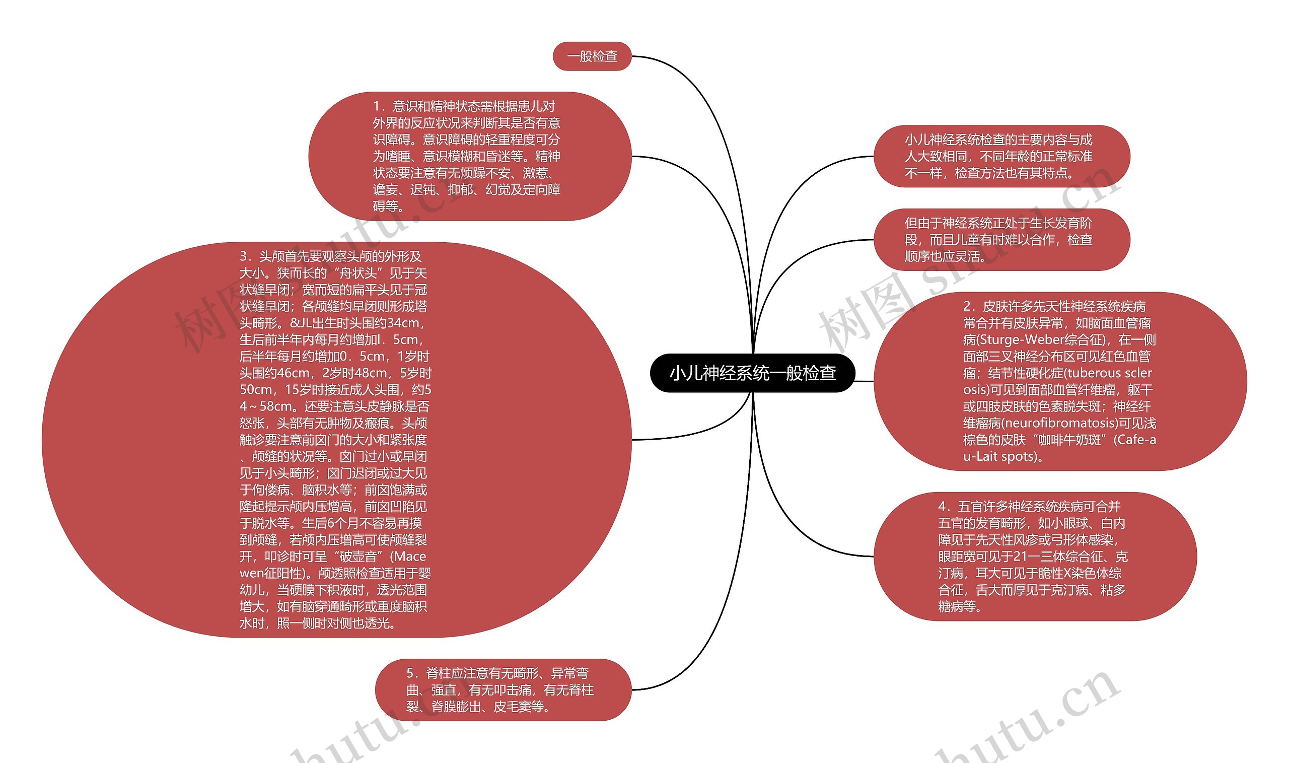 小儿神经系统一般检查思维导图