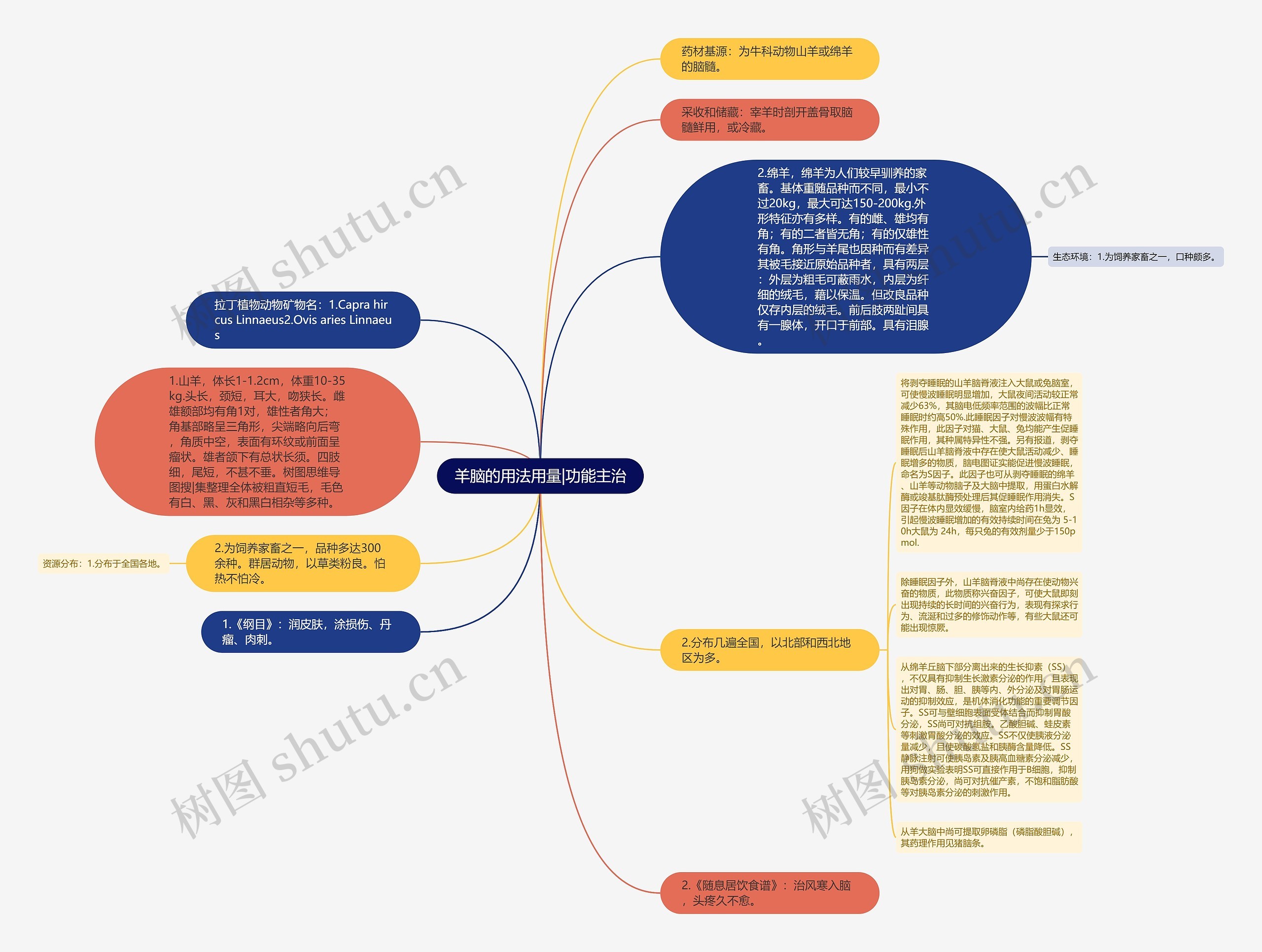 羊脑的用法用量|功能主治思维导图