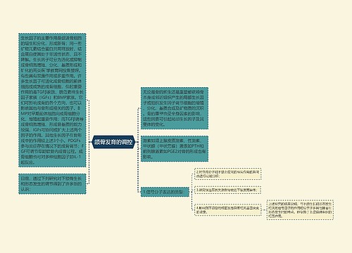 颌骨发育的调控