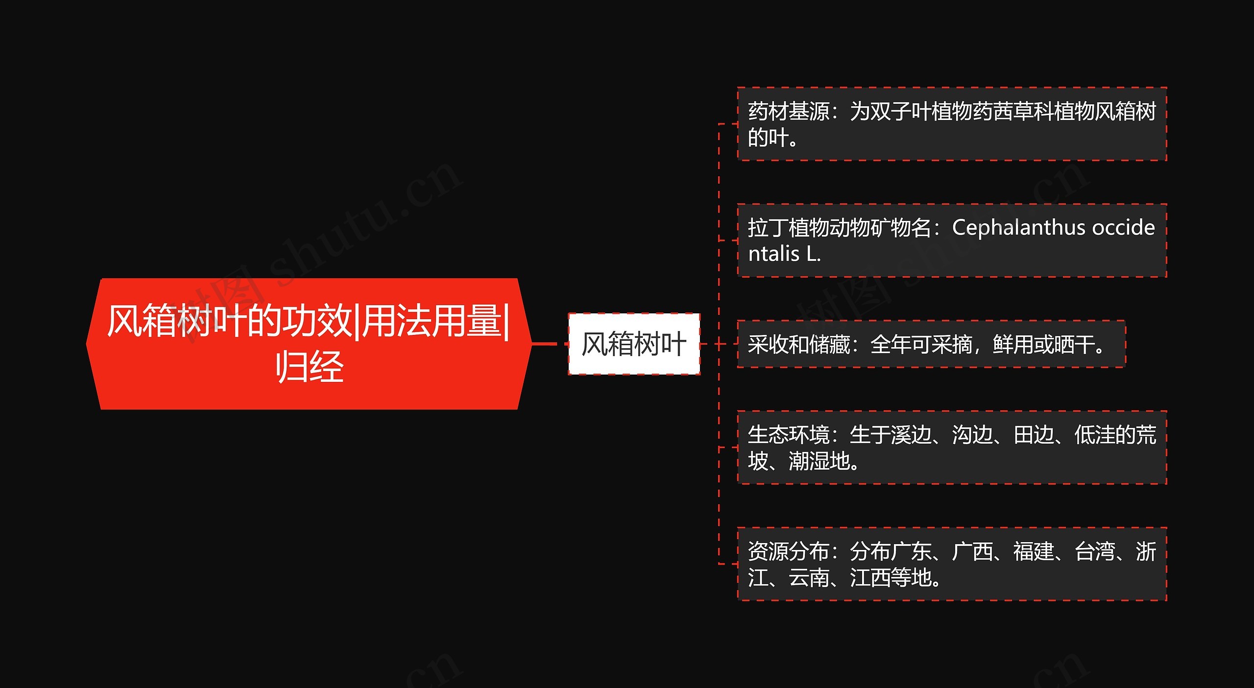 风箱树叶的功效|用法用量|归经思维导图