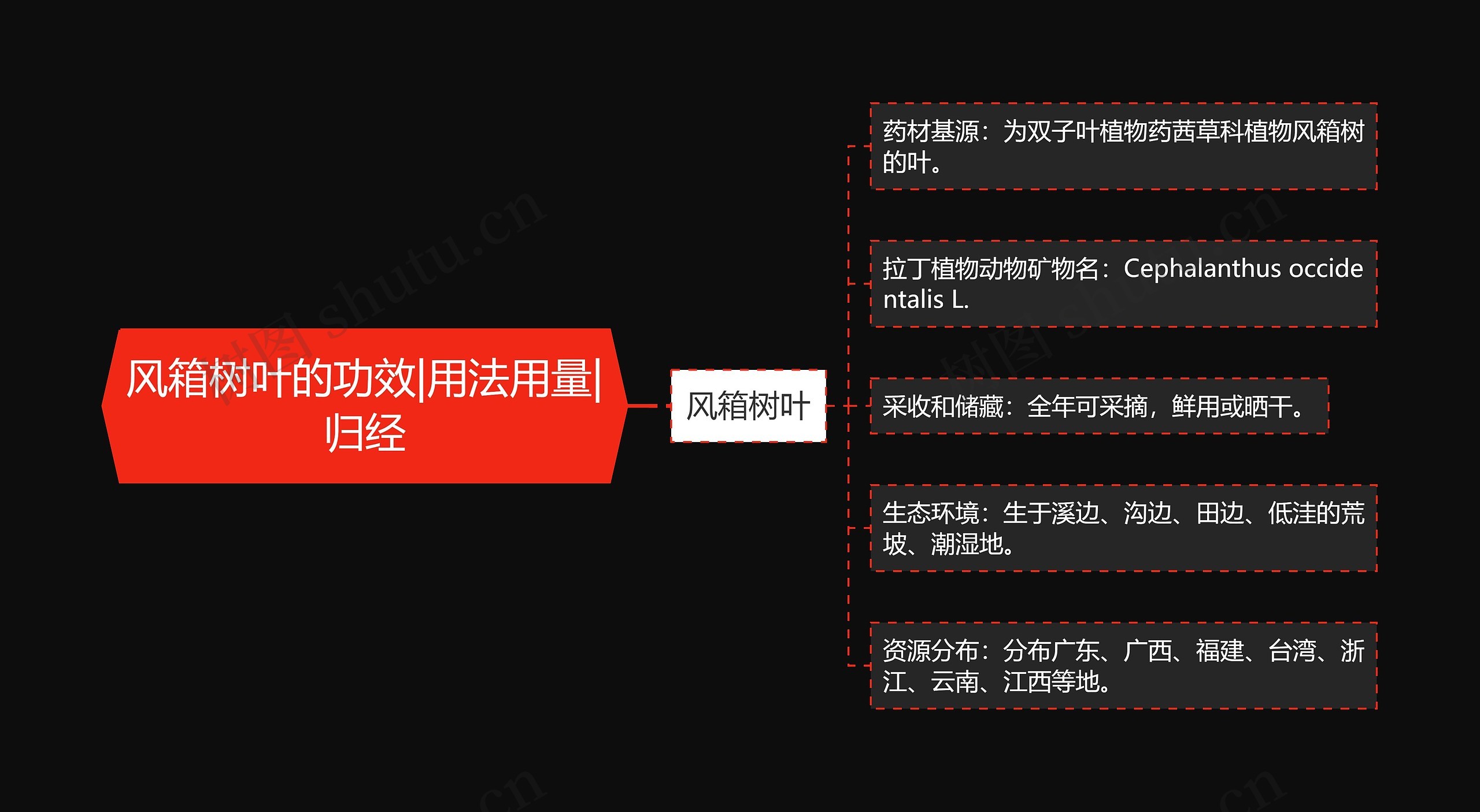 风箱树叶的功效|用法用量|归经 风箱树叶的功效|用法用量|归经