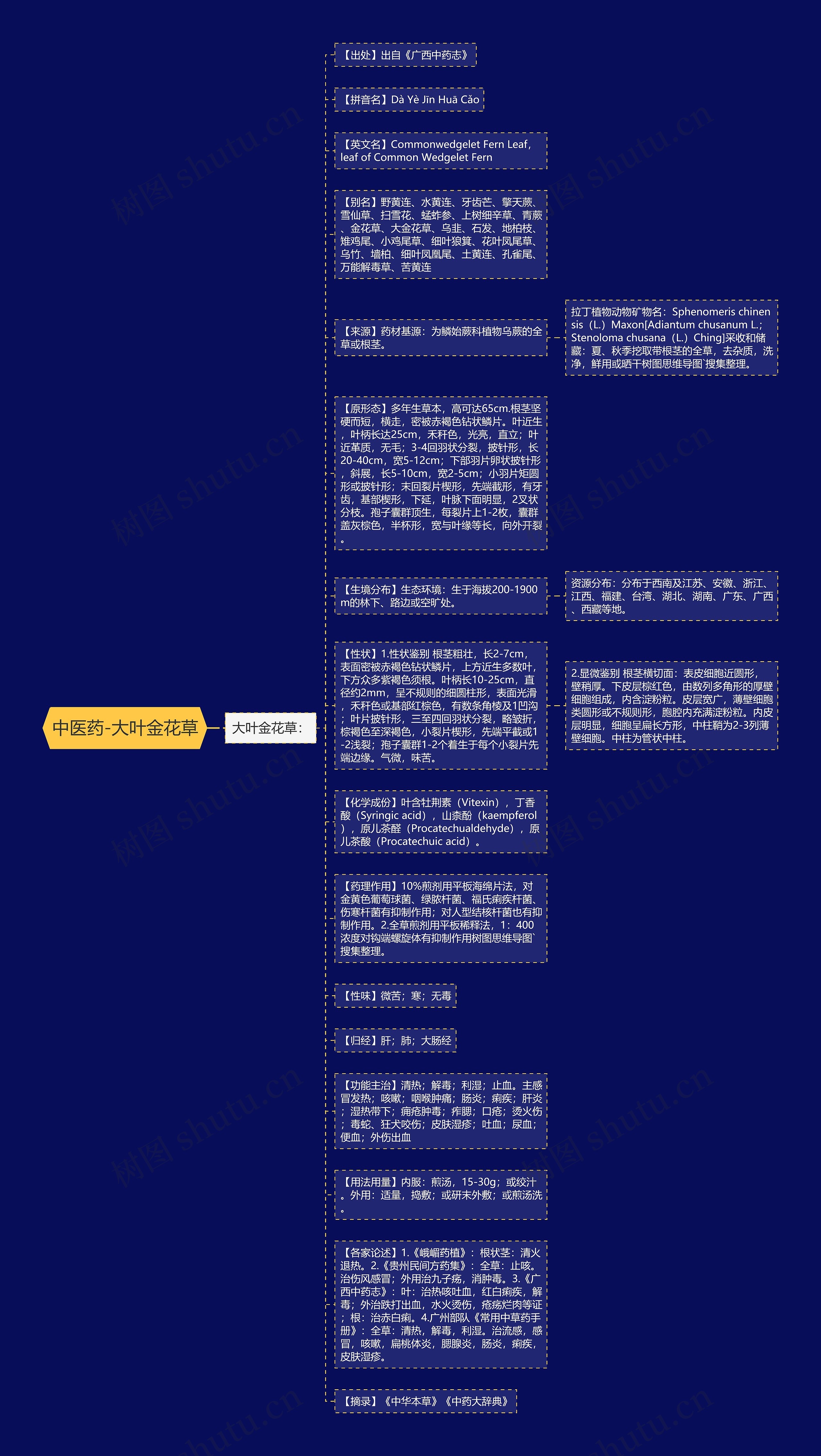中医药-大叶金花草思维导图高清图 中医药-大叶金花草思维导图