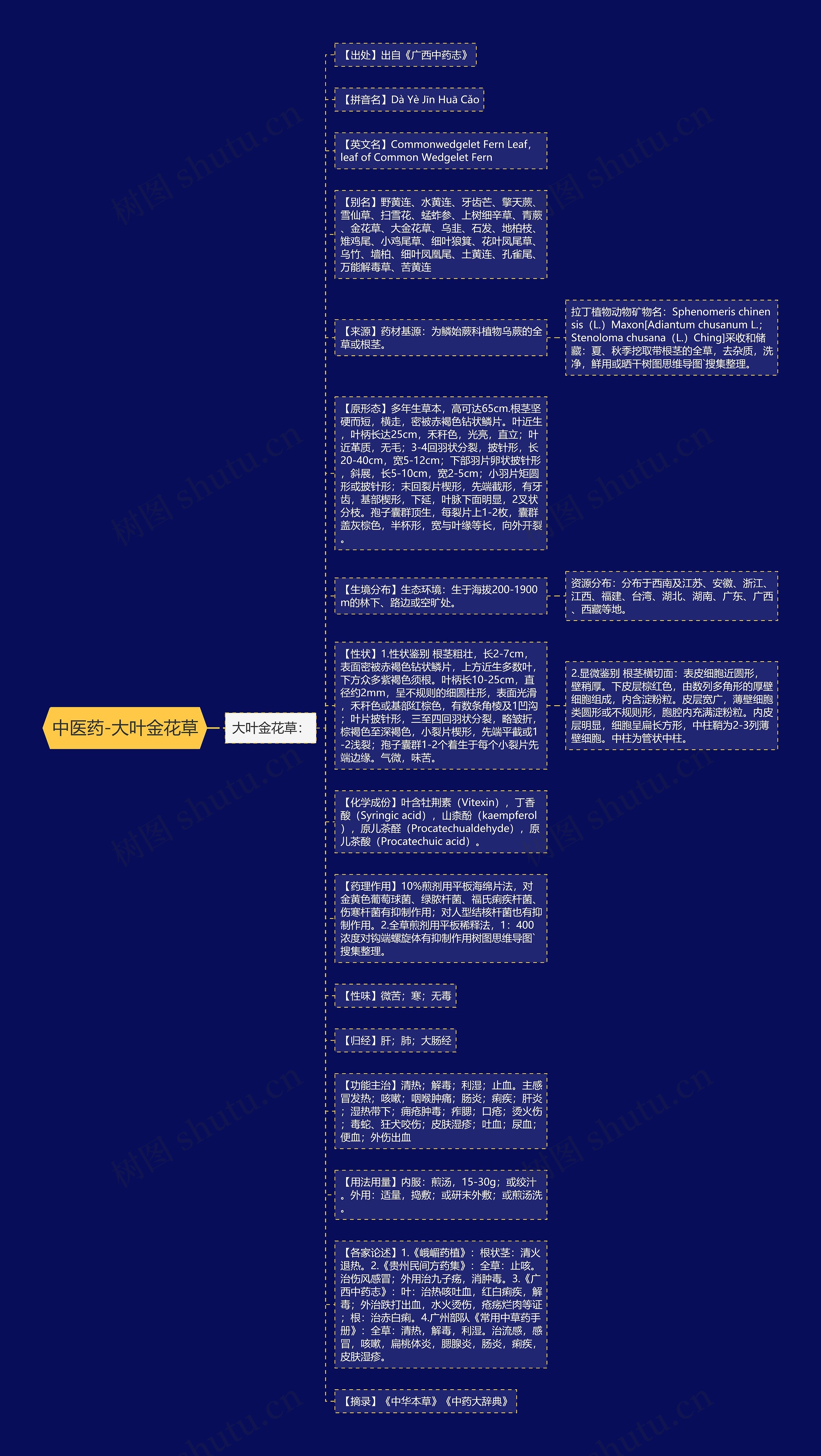 中医药-大叶金花草思维导图