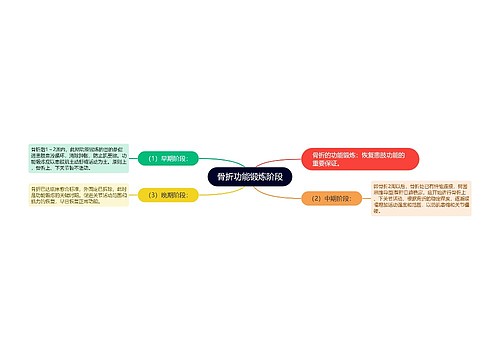 骨折功能锻炼阶段