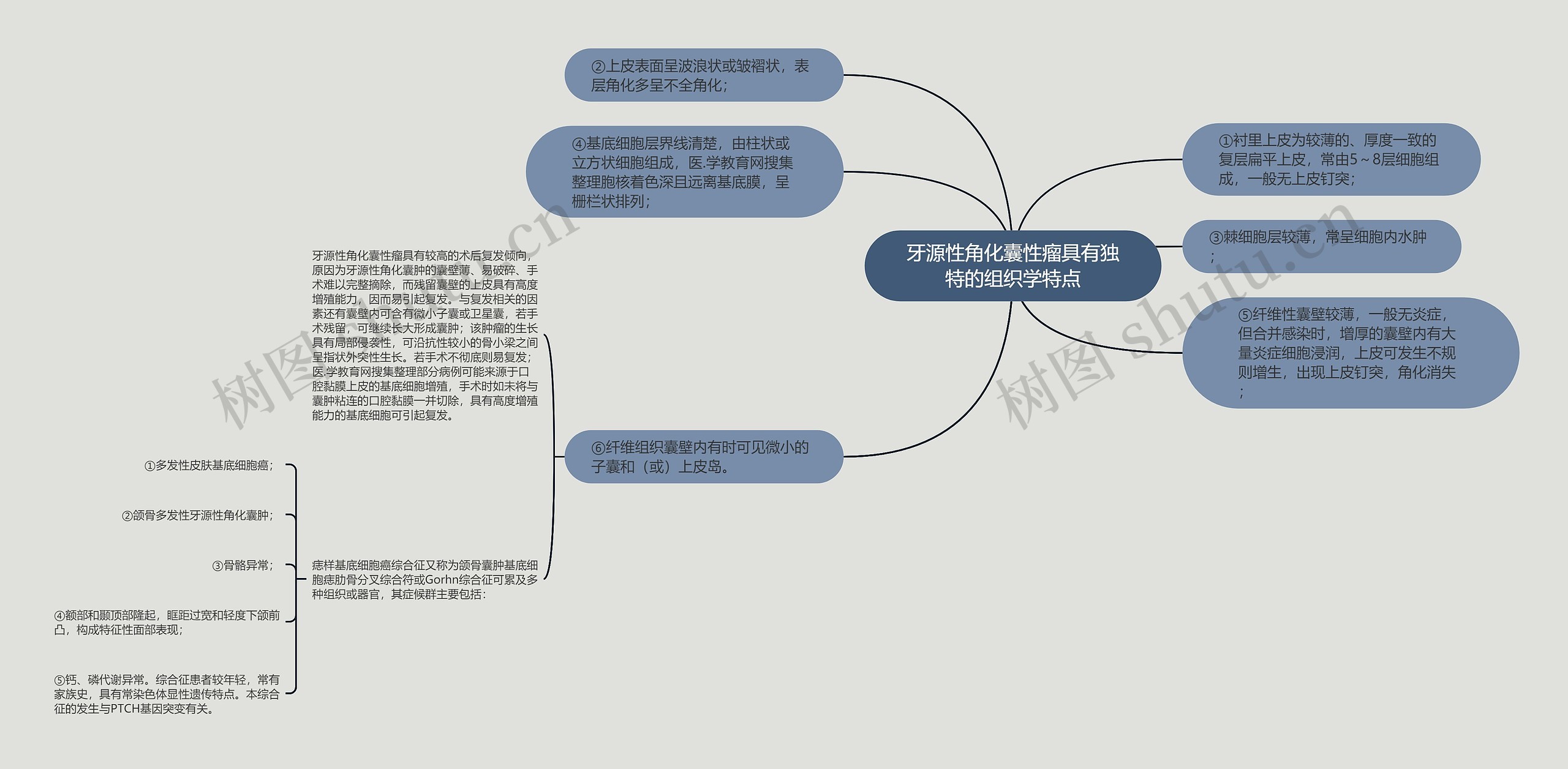 牙源性角化囊性瘤具有独特的组织学特点