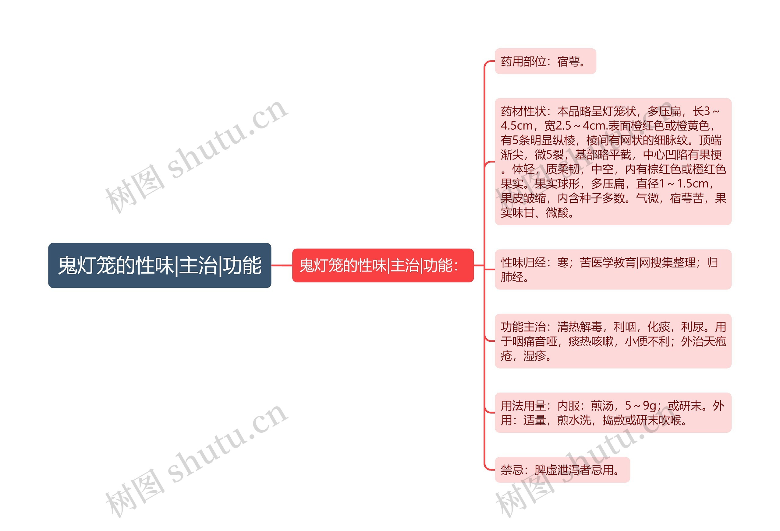 鬼灯笼的性味|主治|功能