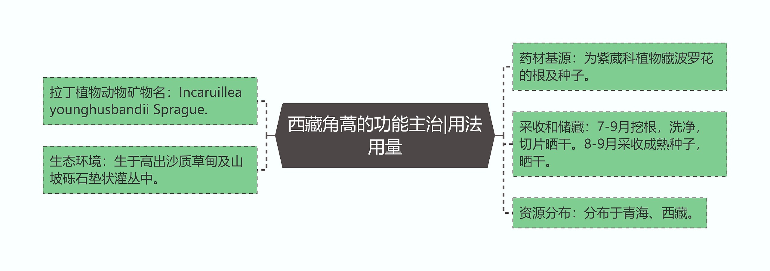 西藏角蒿的功能主治|用法用量