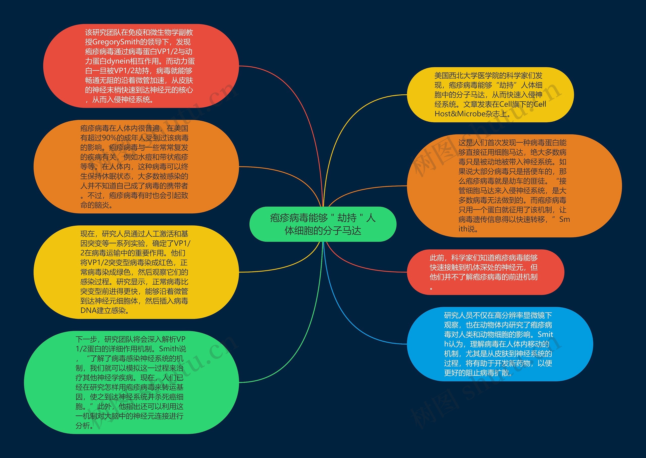 疱疹病毒能够＂劫持＂人体细胞的分子马达思维导图