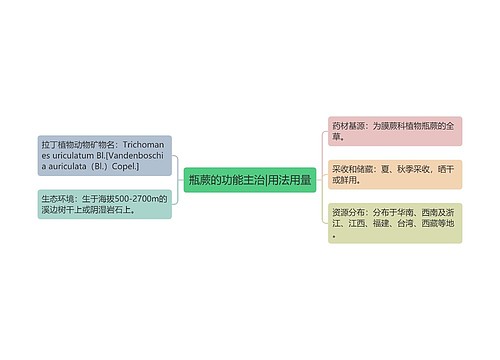 瓶蕨的功能主治|用法用量