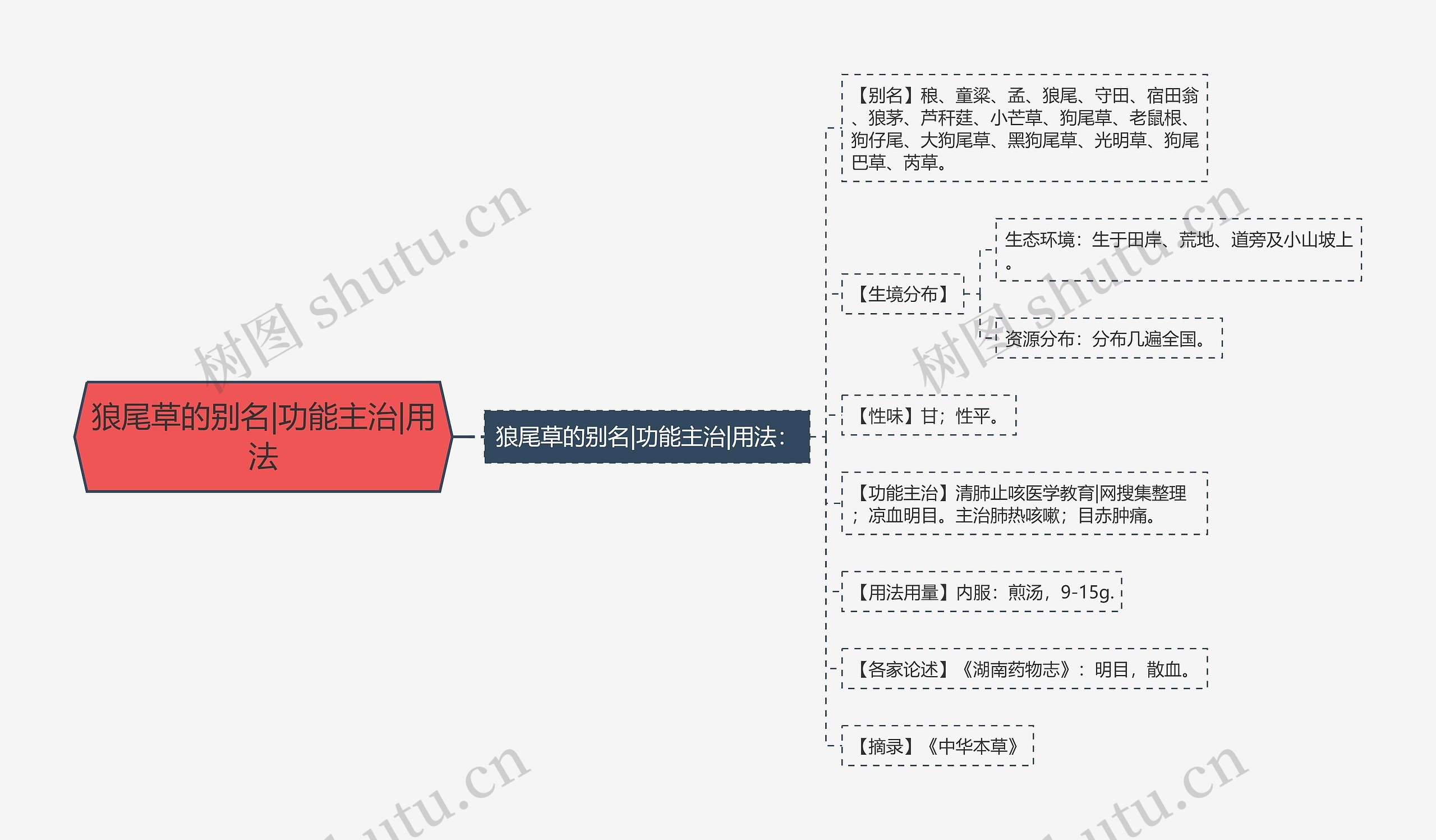 狼尾草的别名|功能主治|用法思维导图