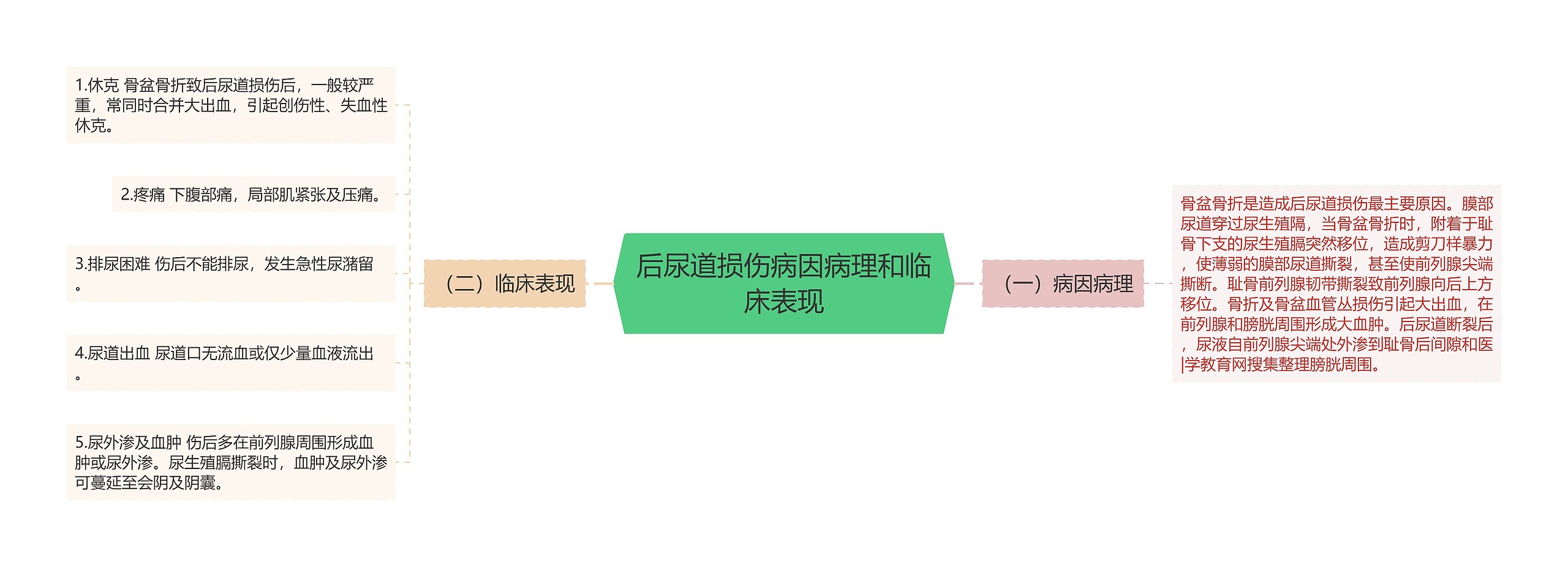 后尿道损伤病因病理和临床表现 后尿道损伤病因病理和临床表现