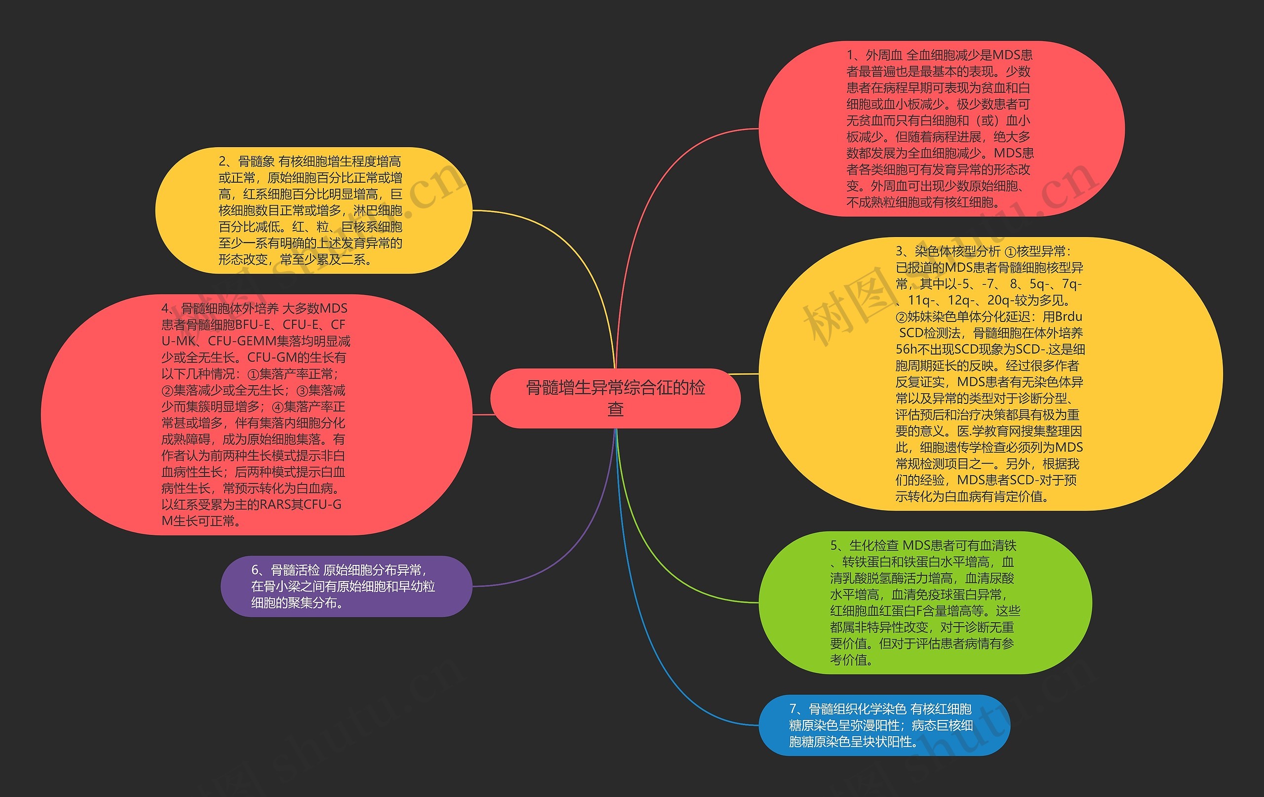 骨髓增生异常综合征的检查思维导图