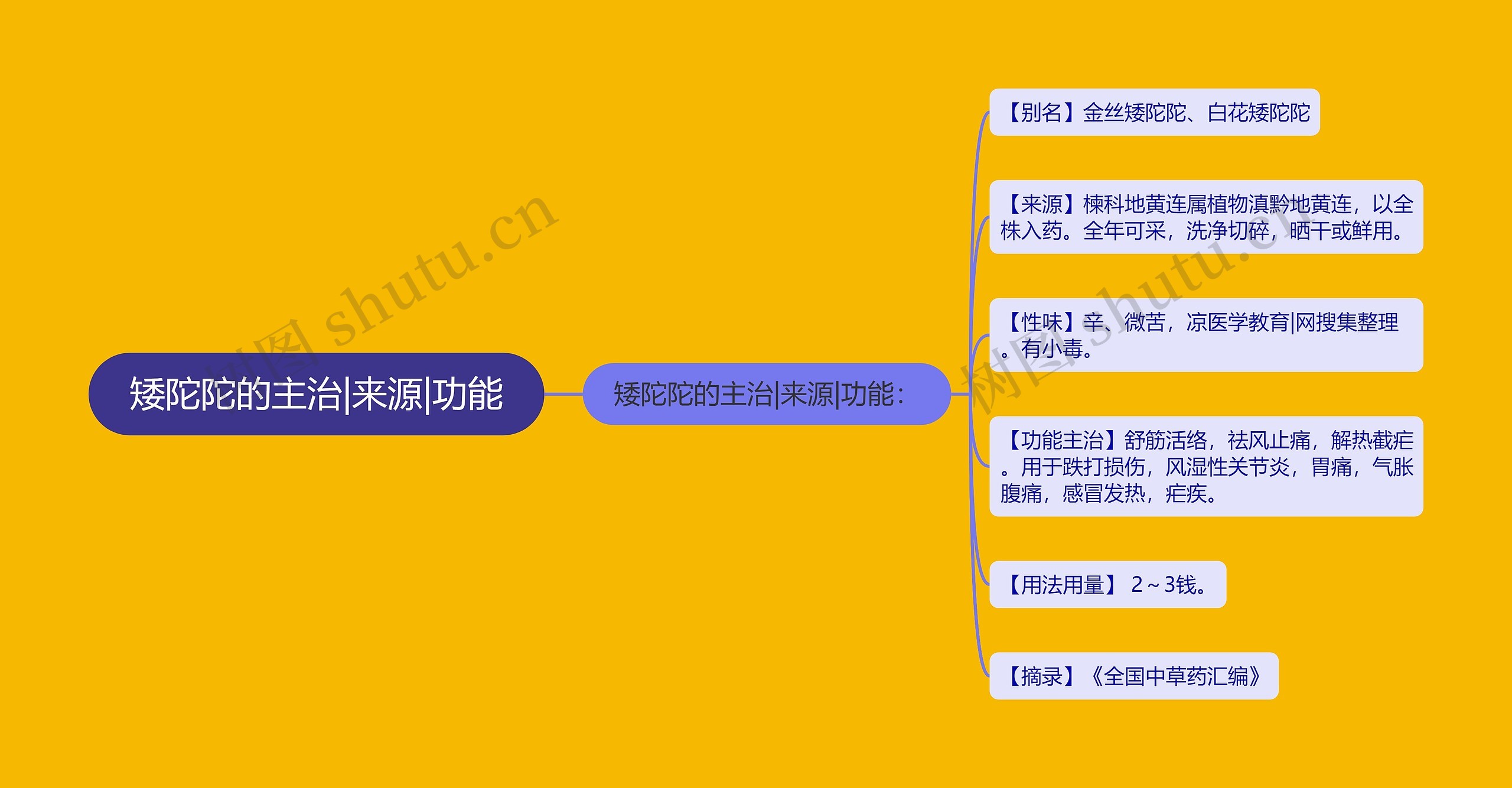 矮陀陀的主治|来源|功能