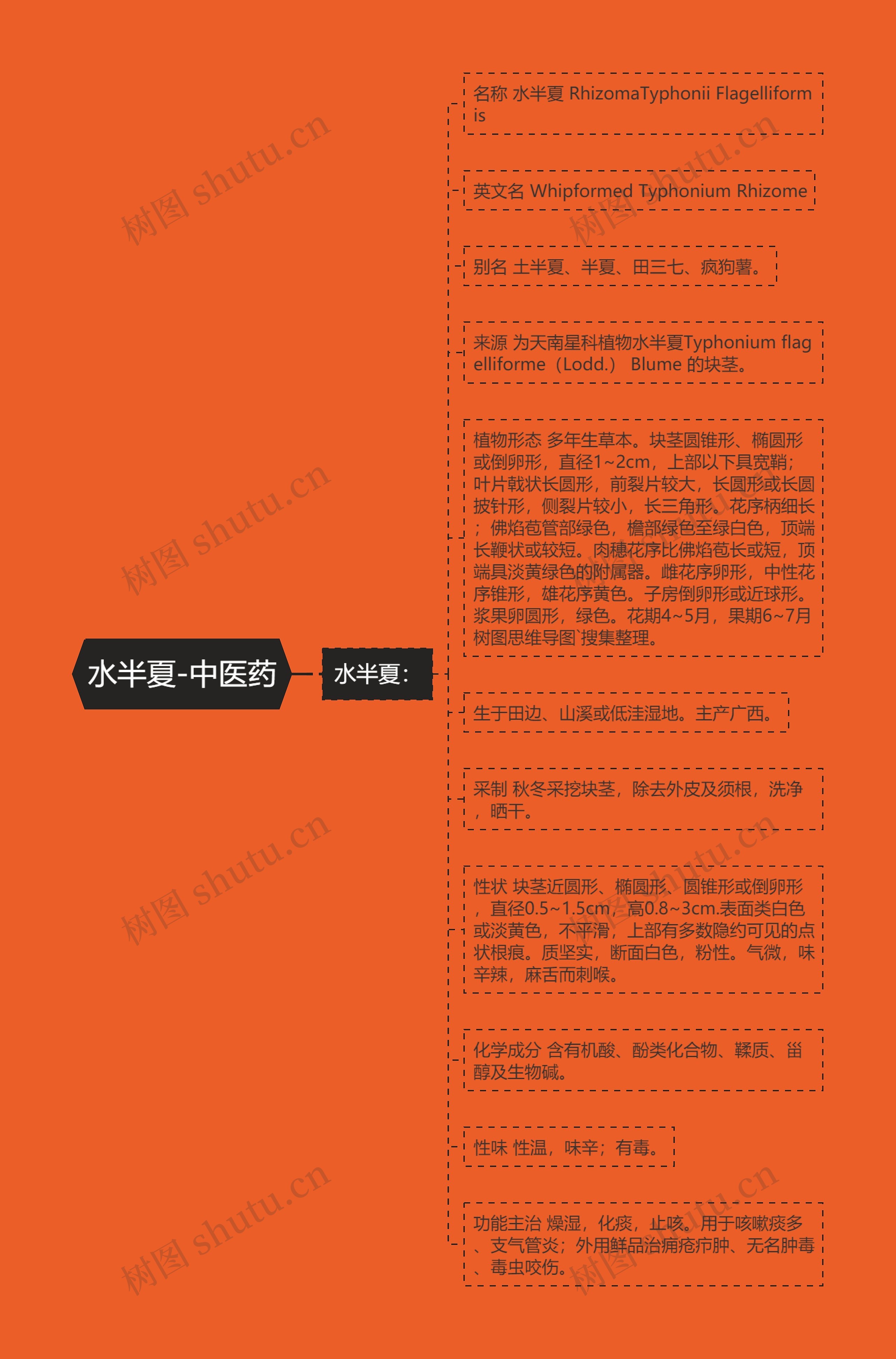 水半夏-中医药 水半夏-中医药