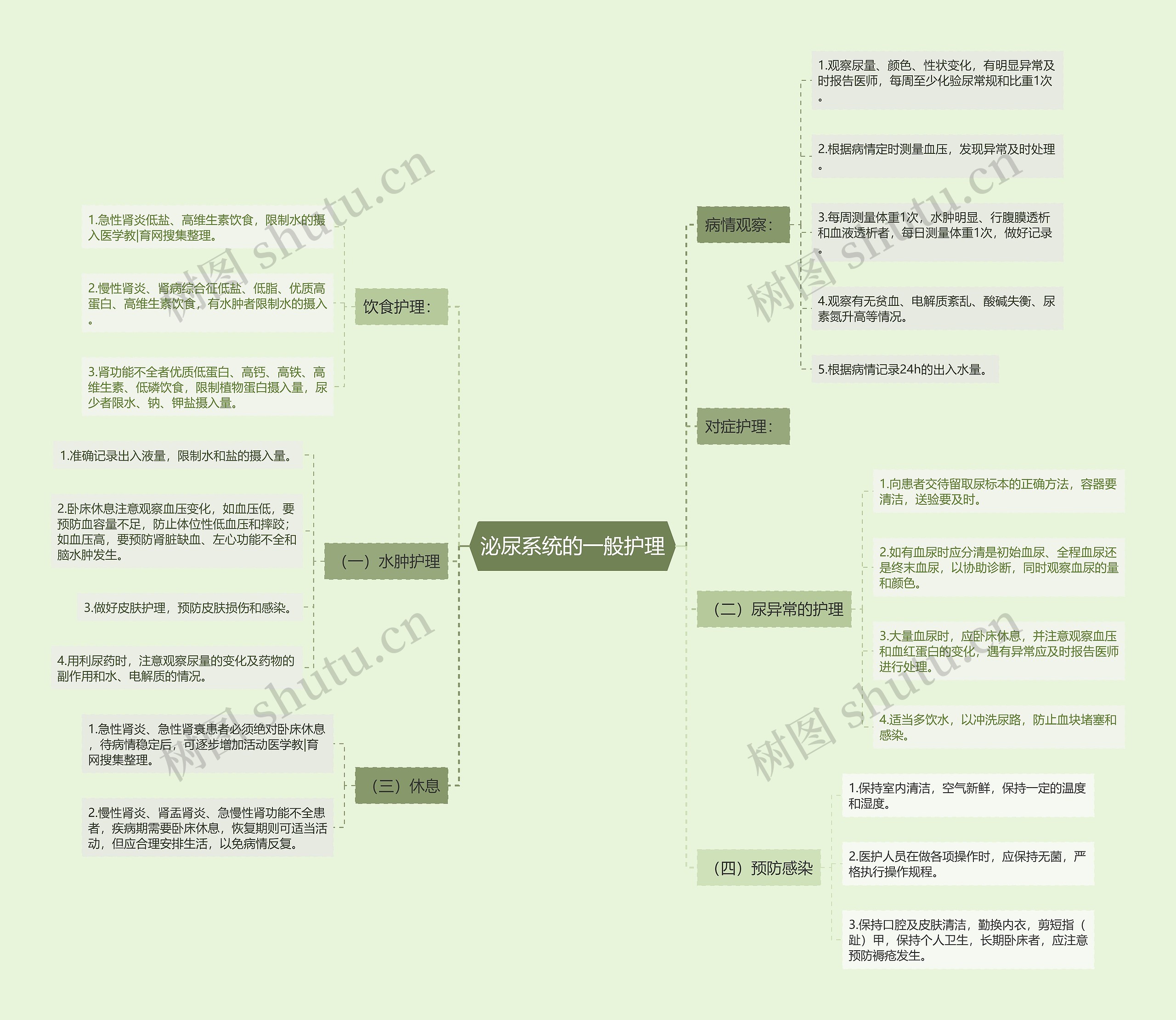 泌尿系统的一般护理思维导图