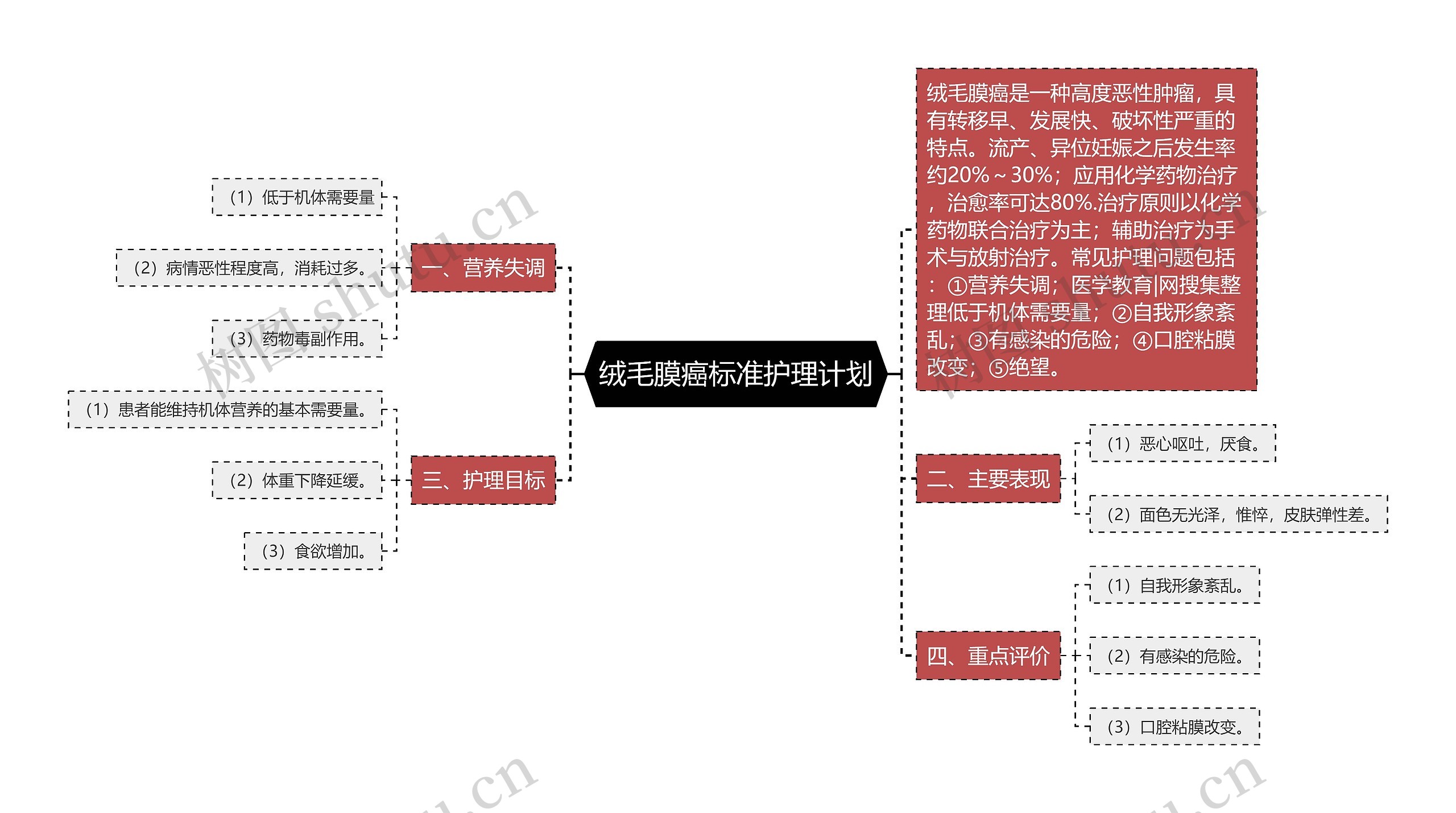 绒毛膜癌标准护理计划