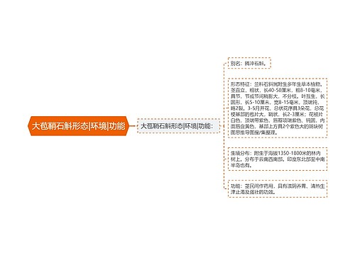 大苞鞘石斛形态|环境|功能