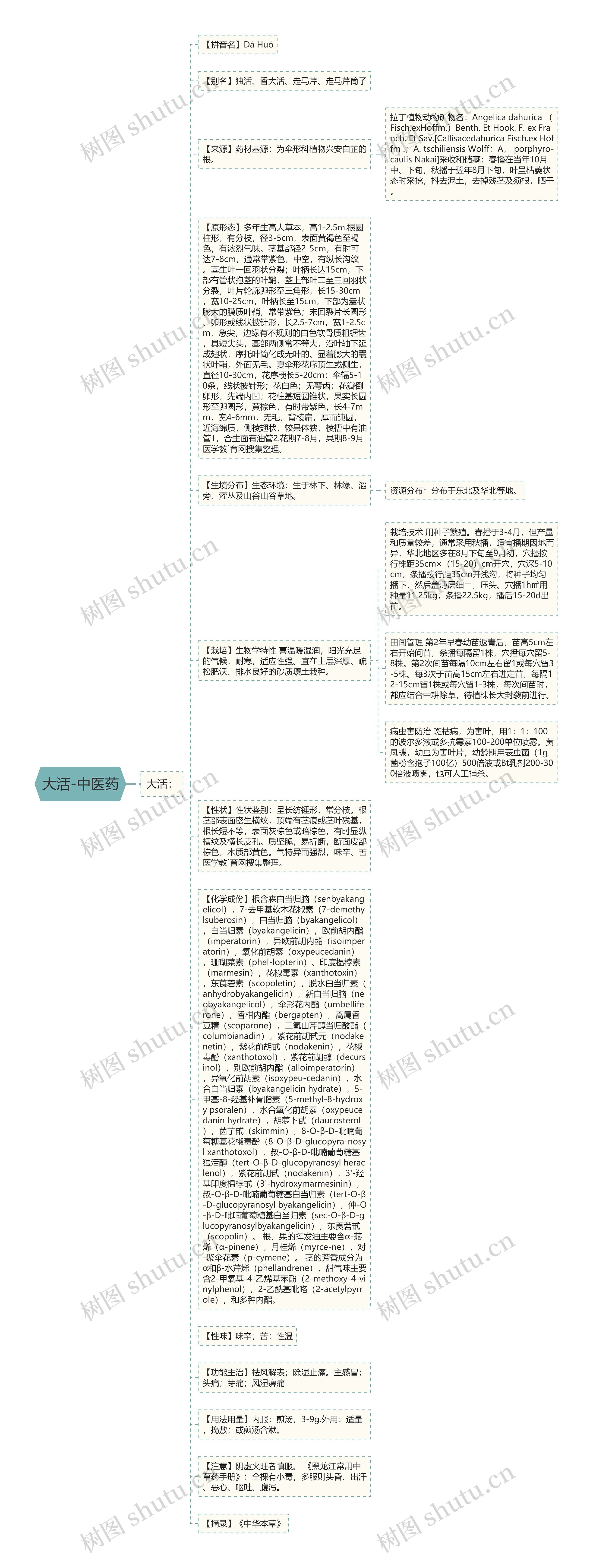 大活-中医药思维导图
