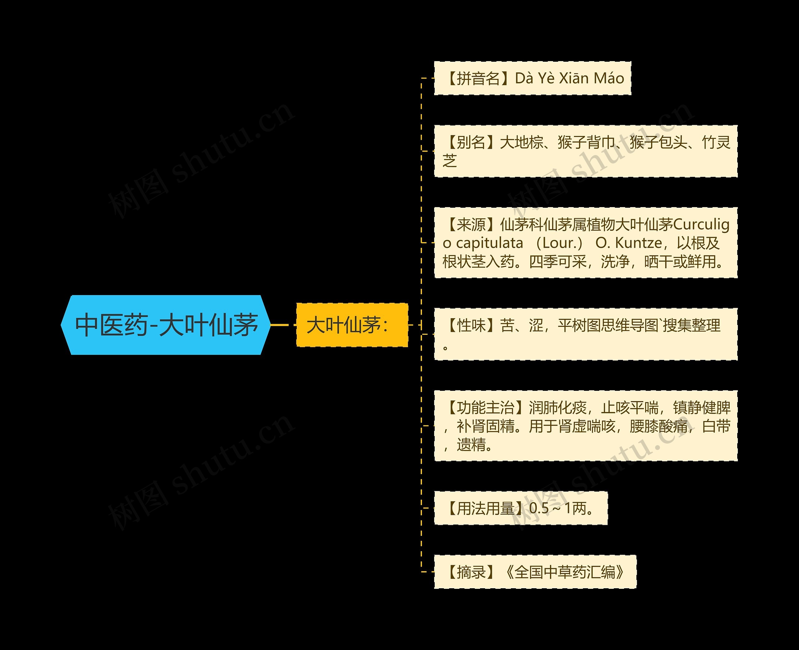 中医药-大叶仙茅思维导图