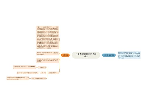 种植体与骨组织间的界面概述