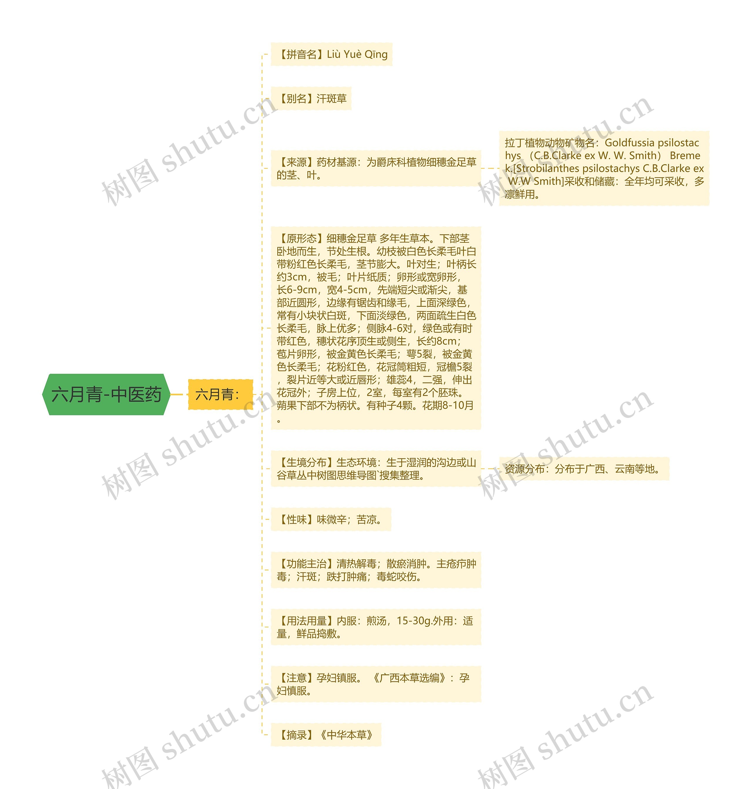 六月青-中医药思维导图
