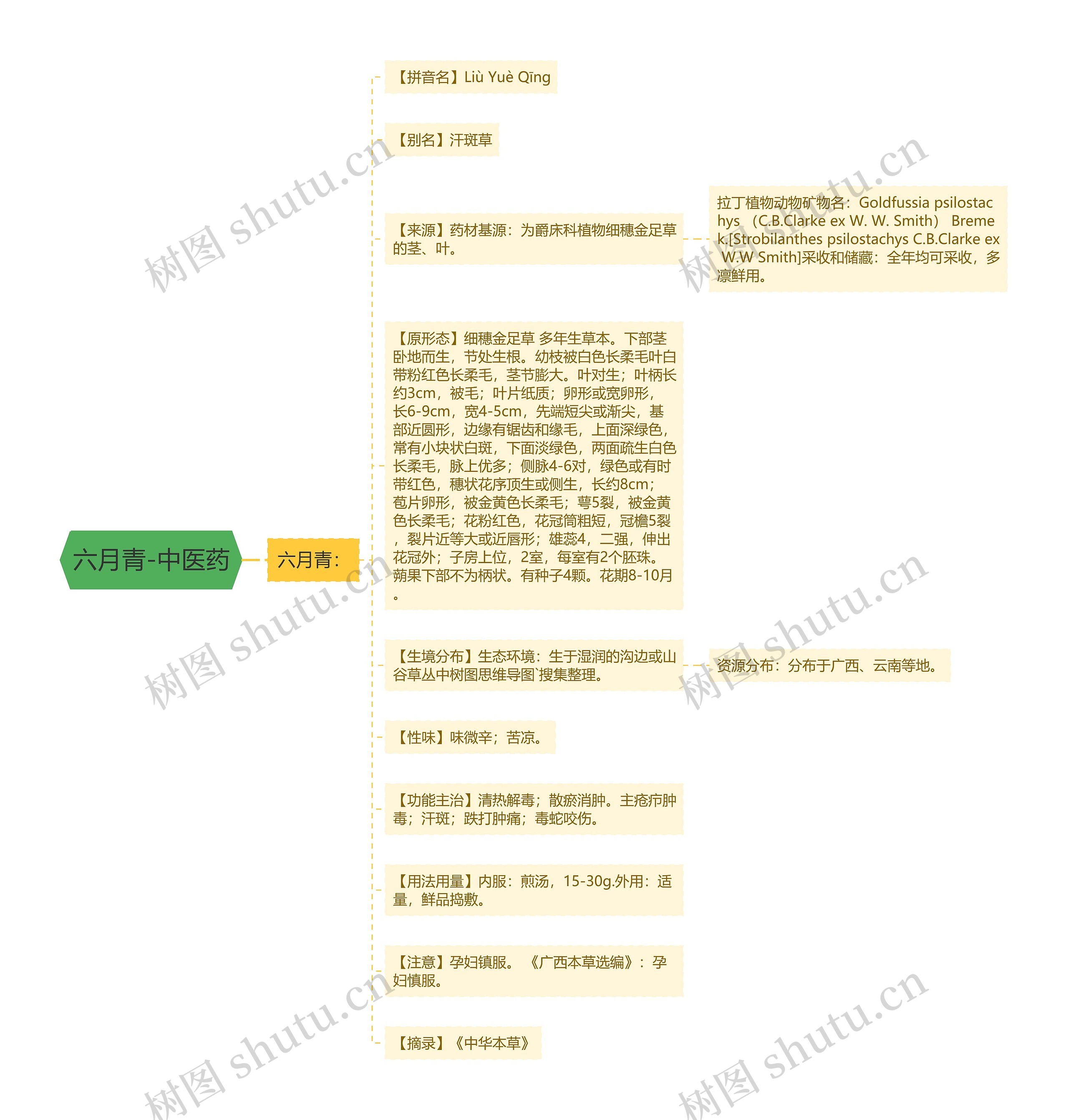 六月青-中医药 六月青-中医药