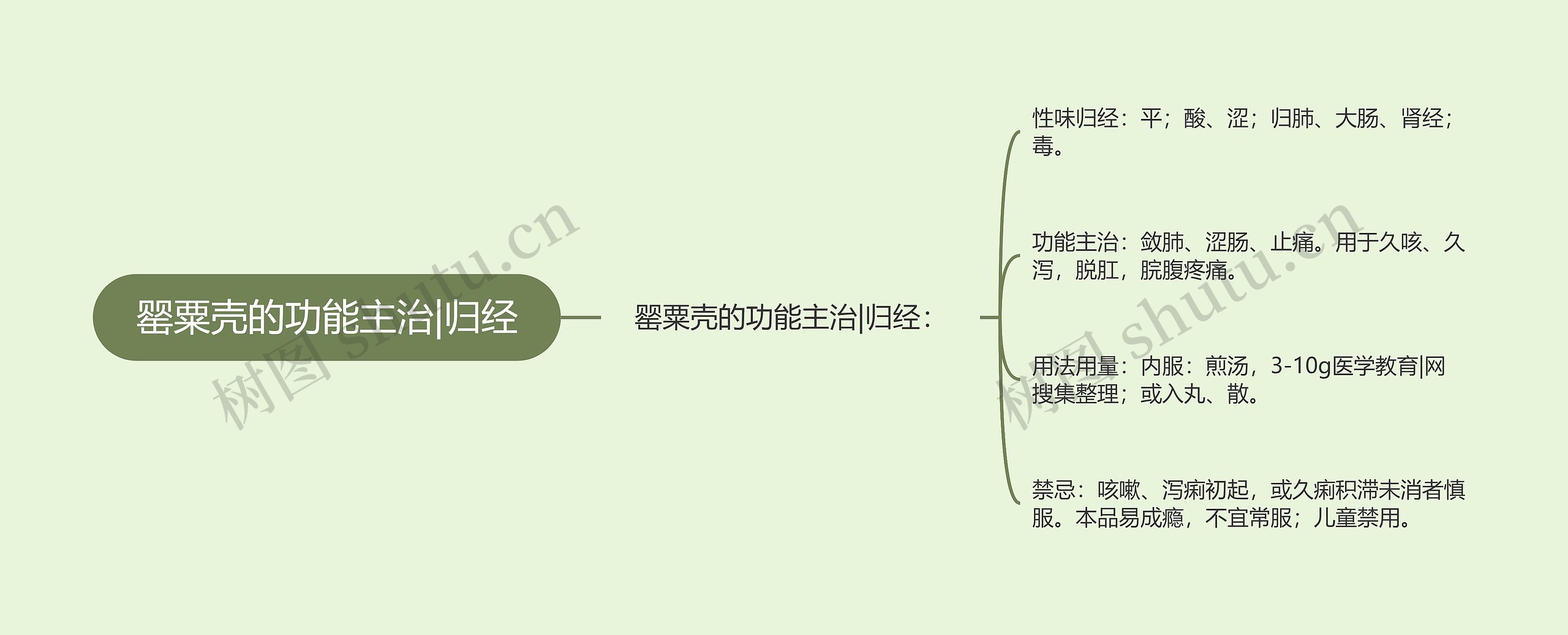 罂粟壳的功能主治|归经