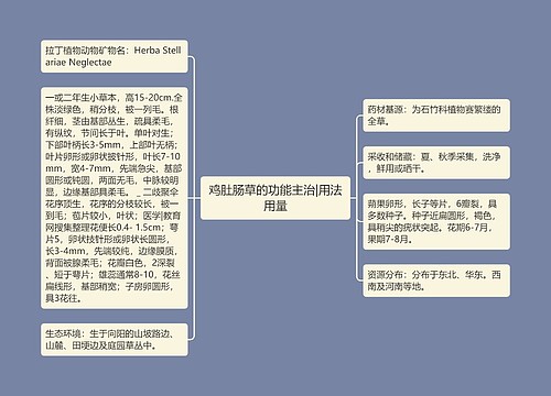 鸡肚肠草的功能主治|用法用量