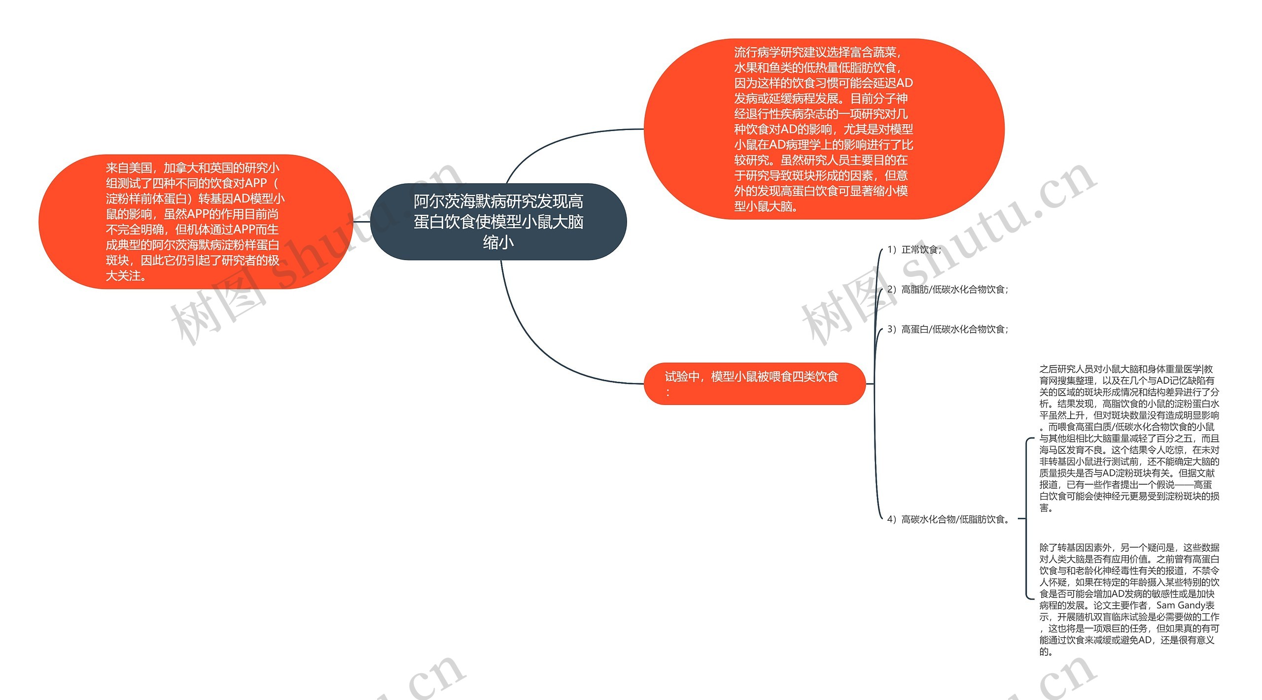 阿尔茨海默病研究发现高蛋白饮食使模型小鼠大脑缩小思维导图