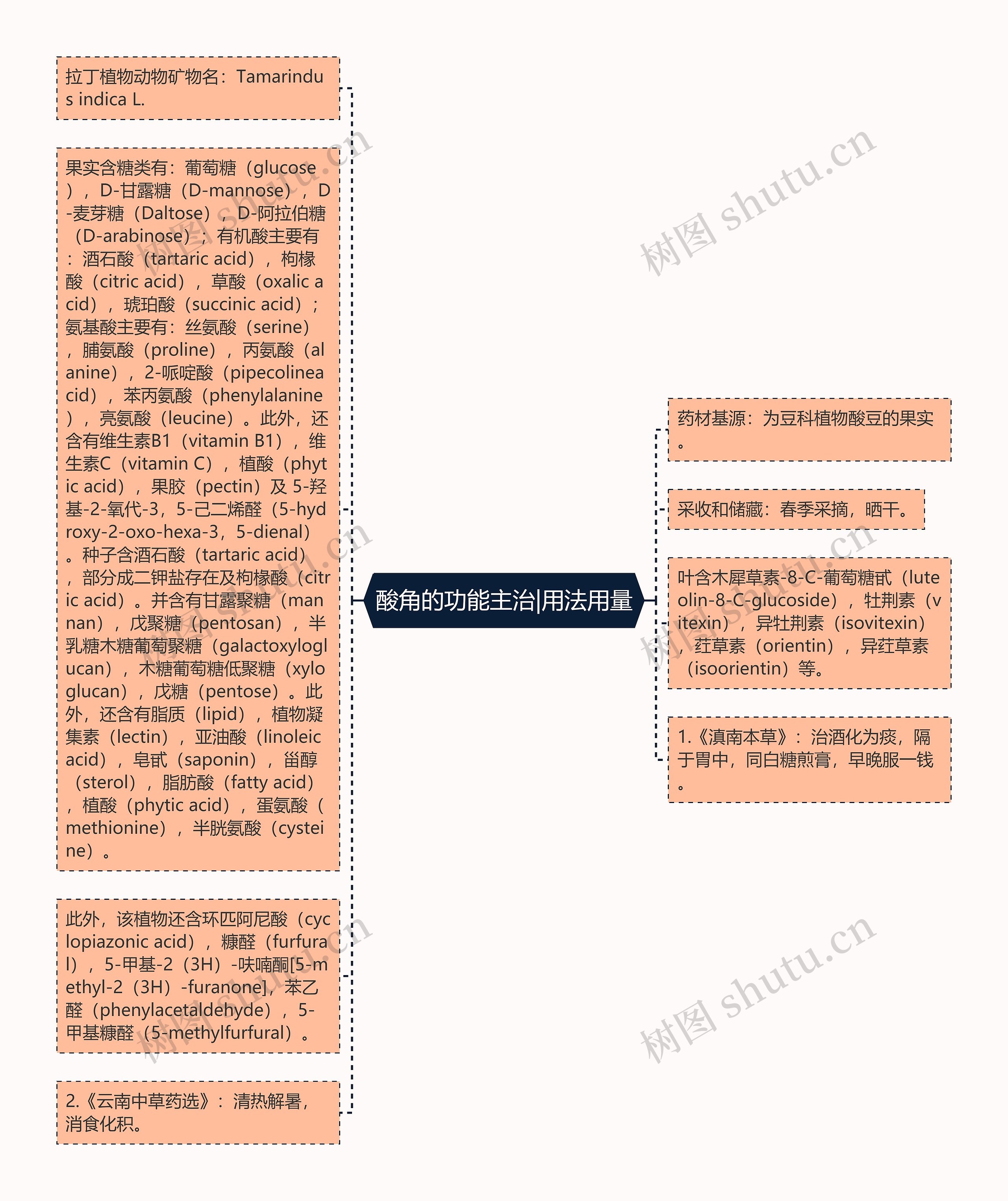 酸角的功能主治|用法用量