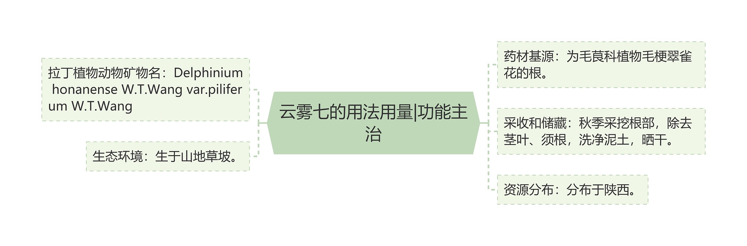 云雾七的用法用量|功能主治 云雾七的用法用量|功能主治