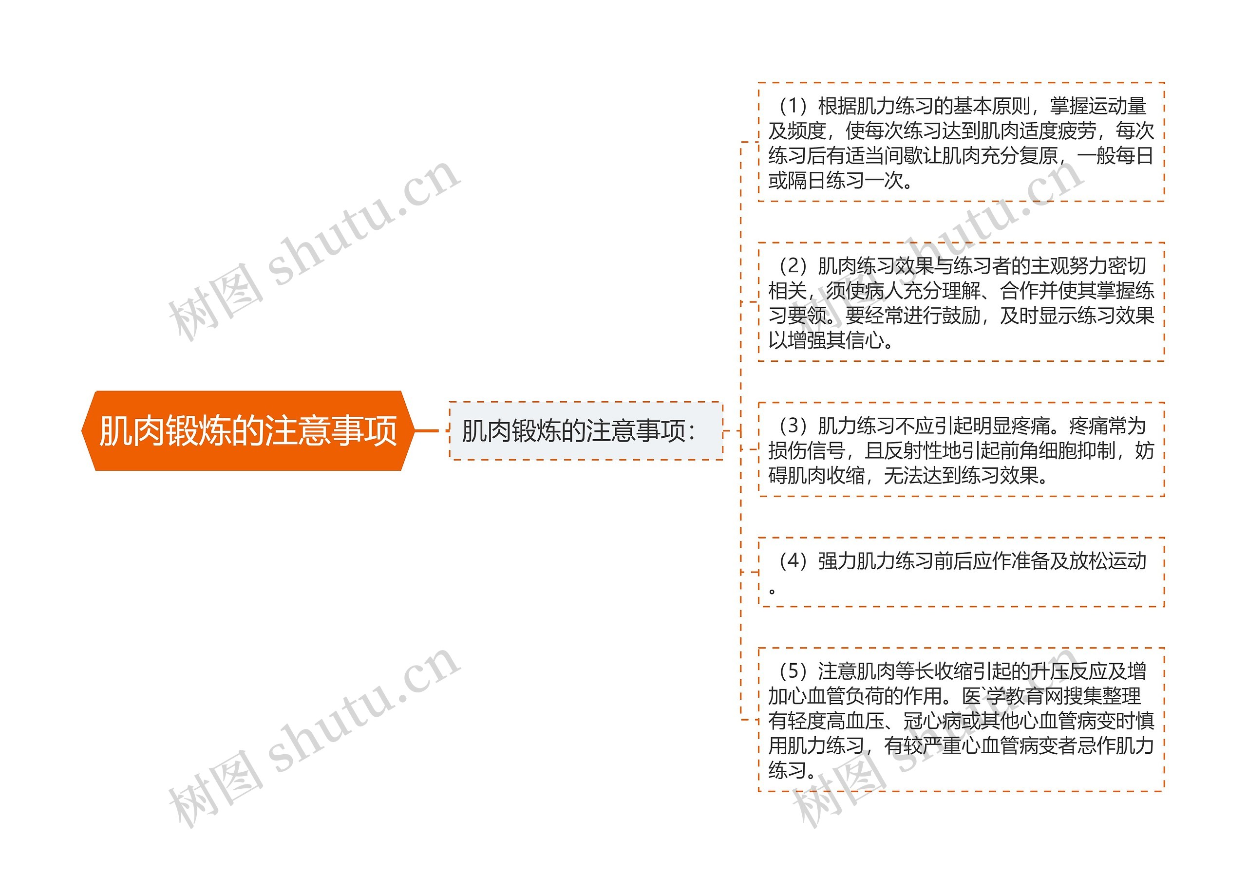 肌肉锻炼的注意事项思维导图