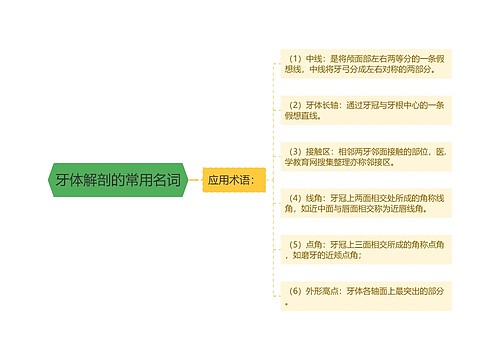 牙体解剖的常用名词