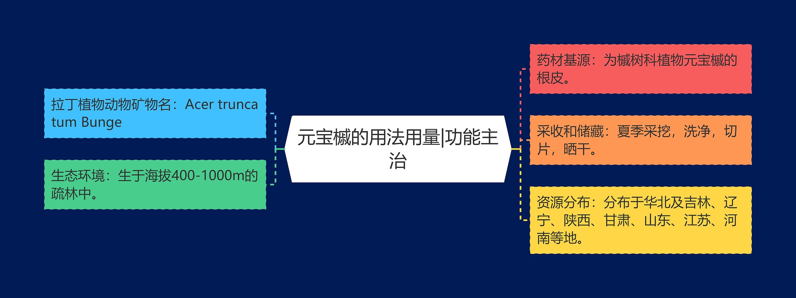 元宝槭的用法用量|功能主治思维导图