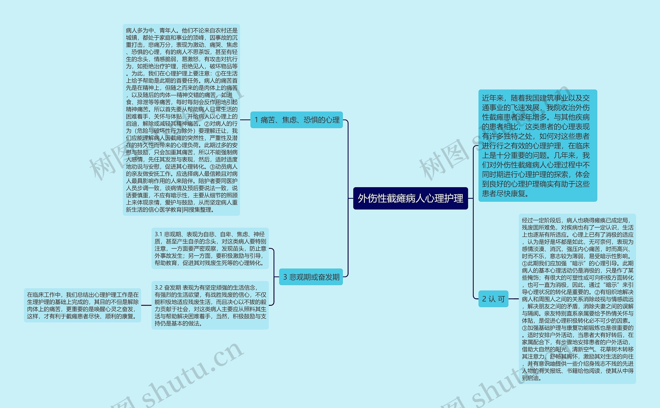 外伤性截瘫病人心理护理思维导图