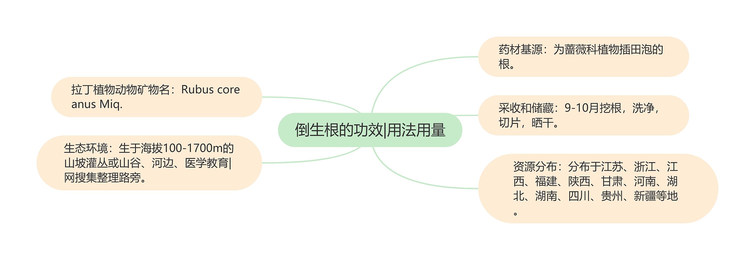 倒生根的功效|用法用量