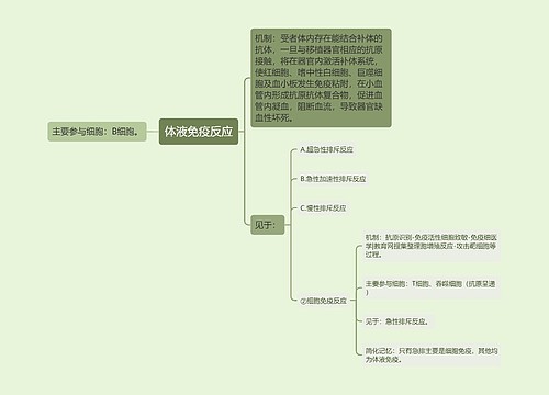 体液免疫反应