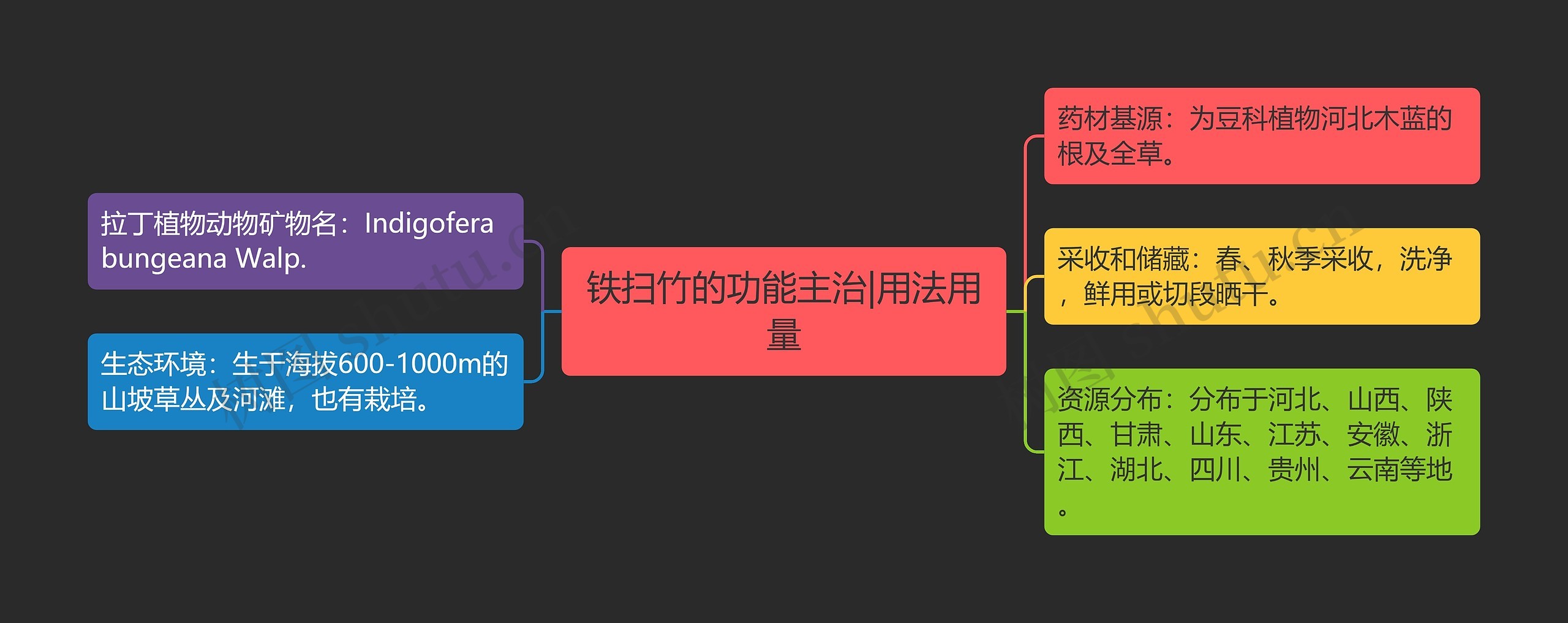 铁扫竹的功能主治|用法用量思维导图